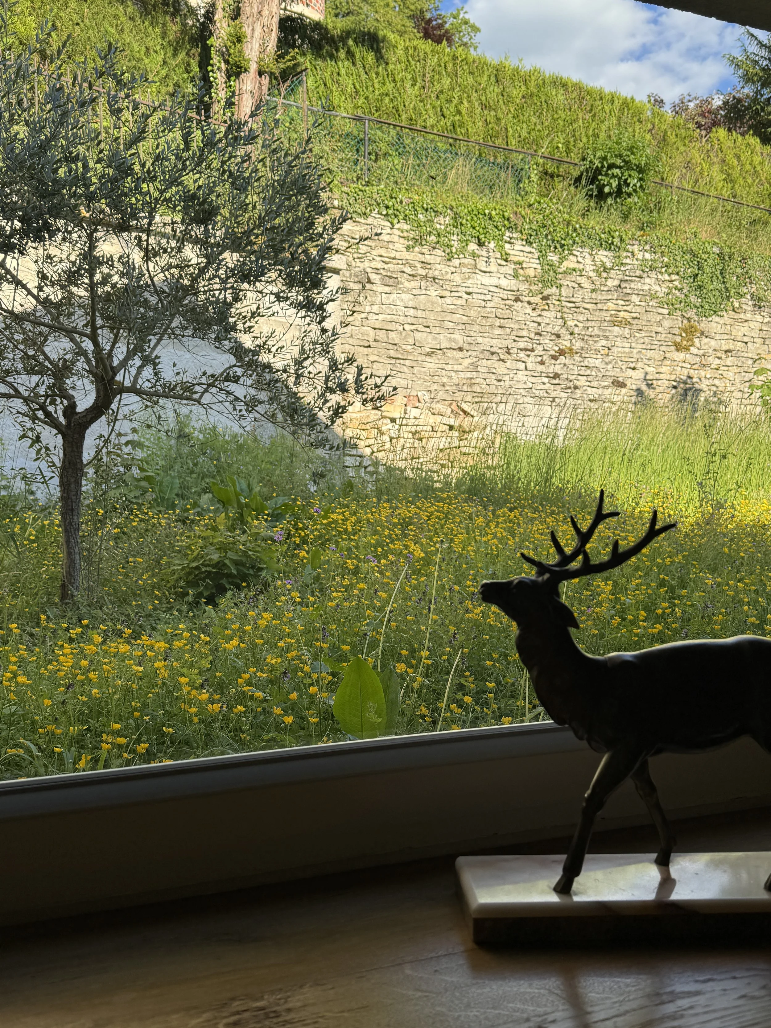 View from my back window
