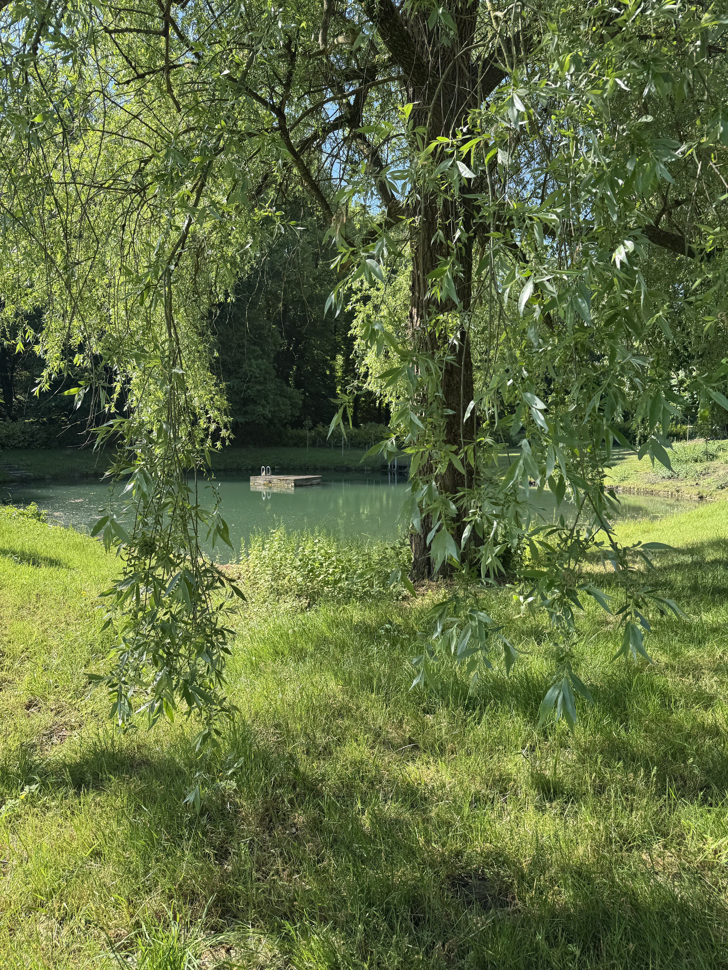 The swimming lake