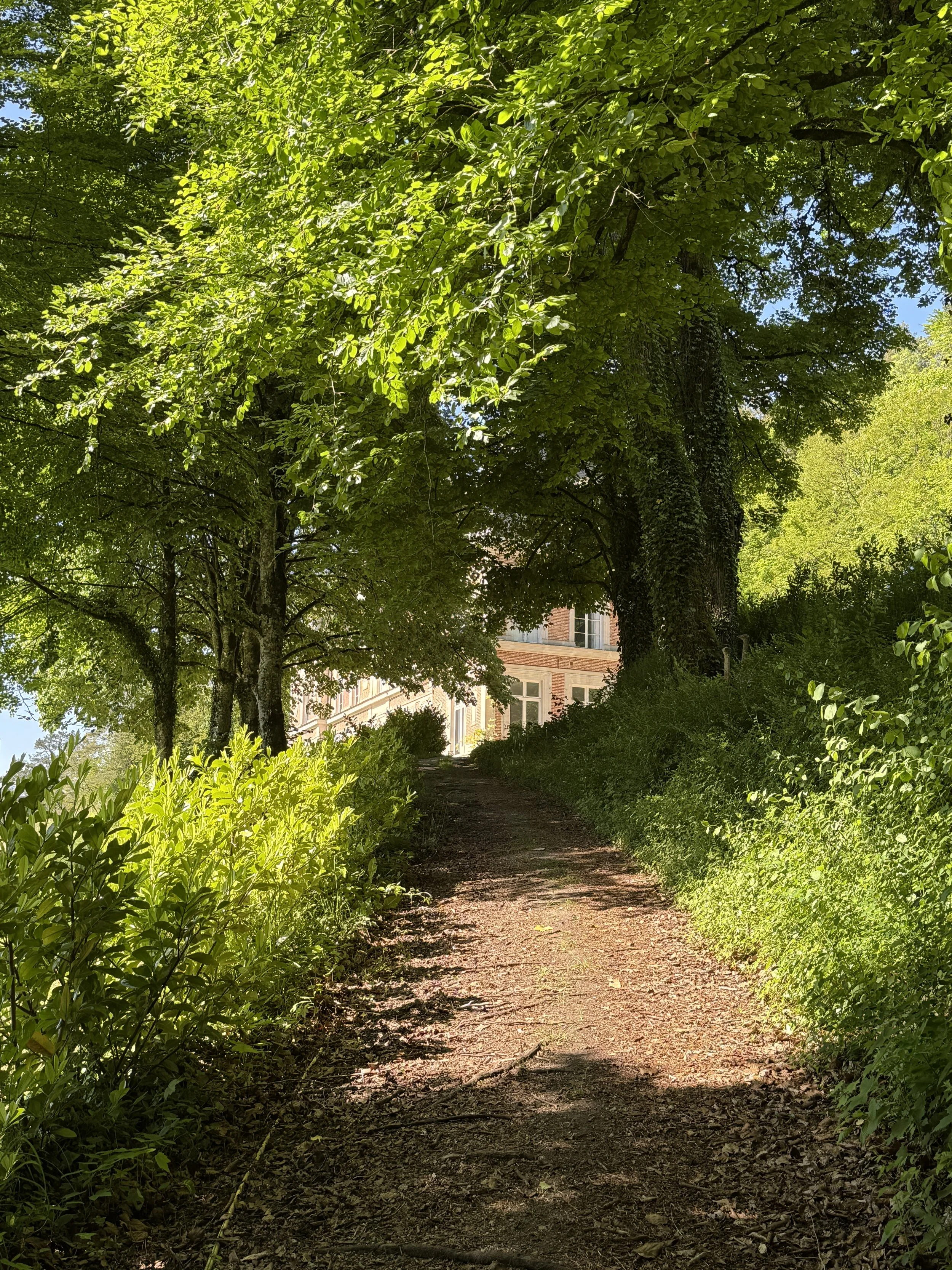 Path to the Chateau