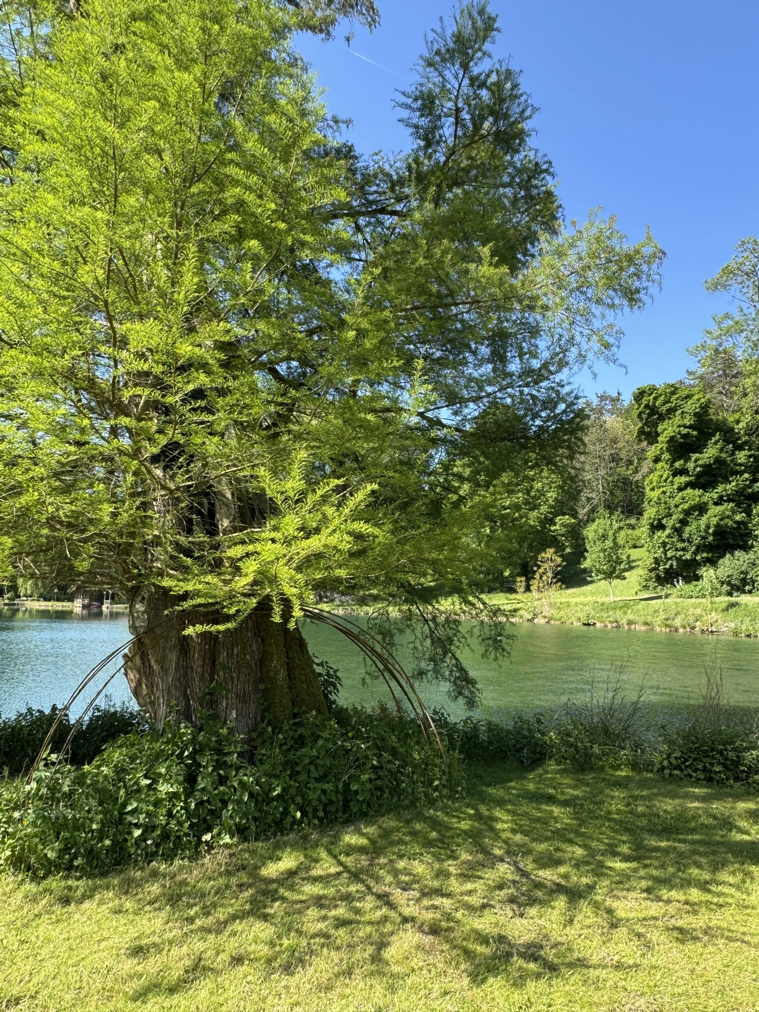 The Lake.JPG