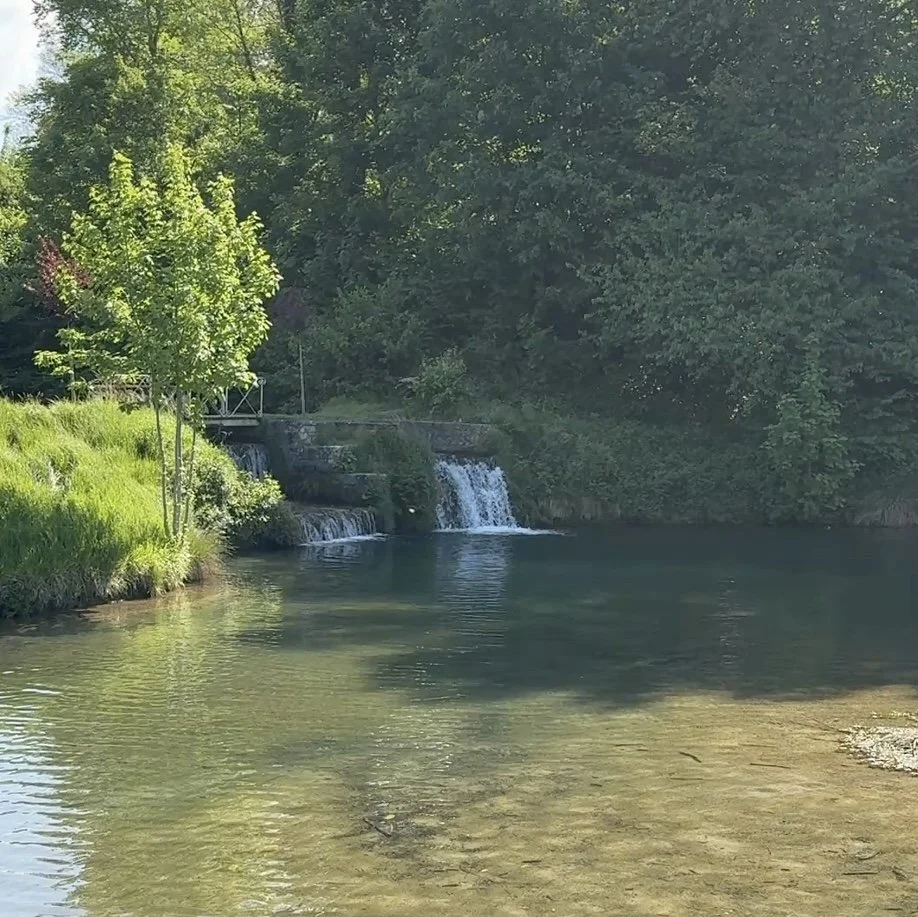 The Lake 2.jpg