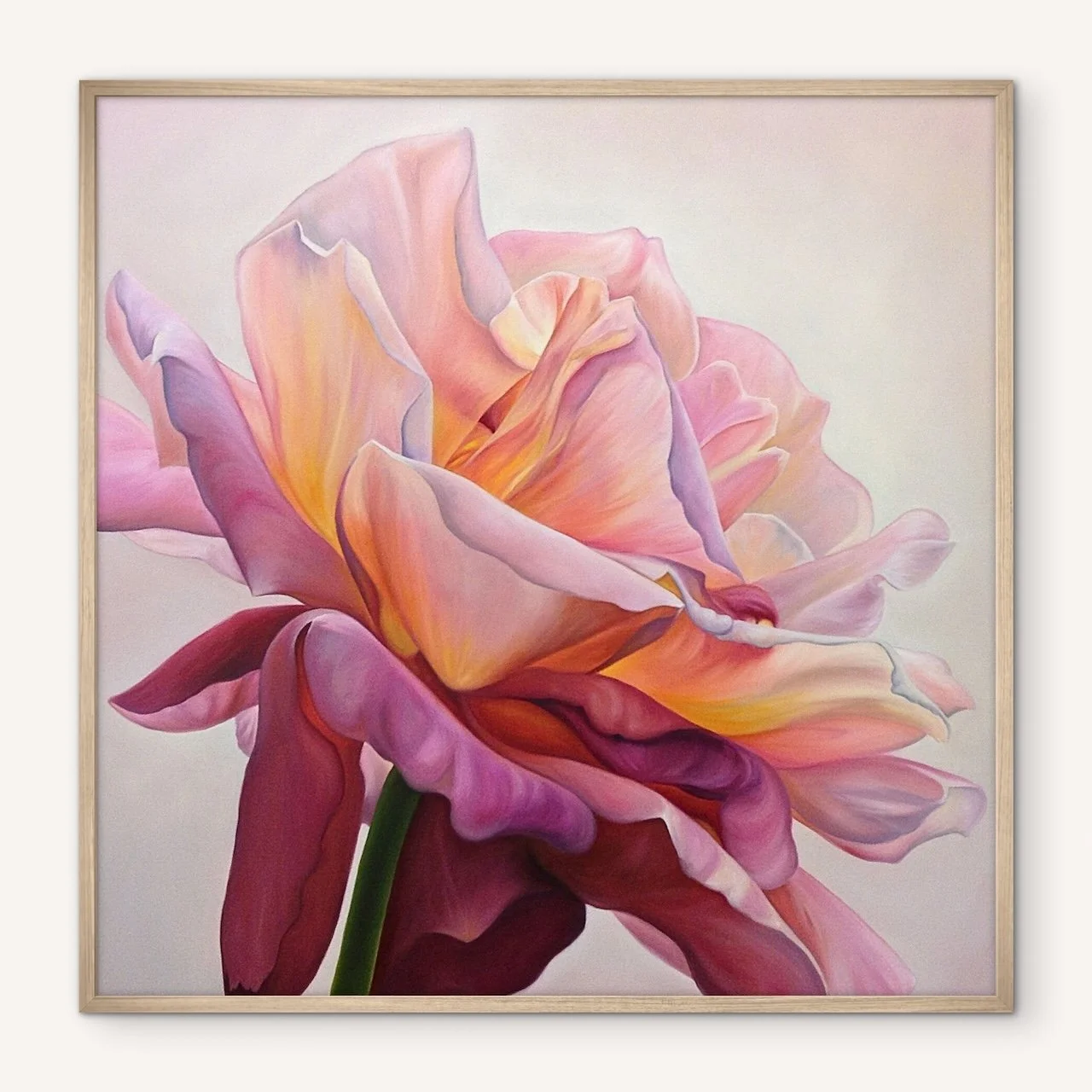 Chicago Peace Rose Canvas Print
