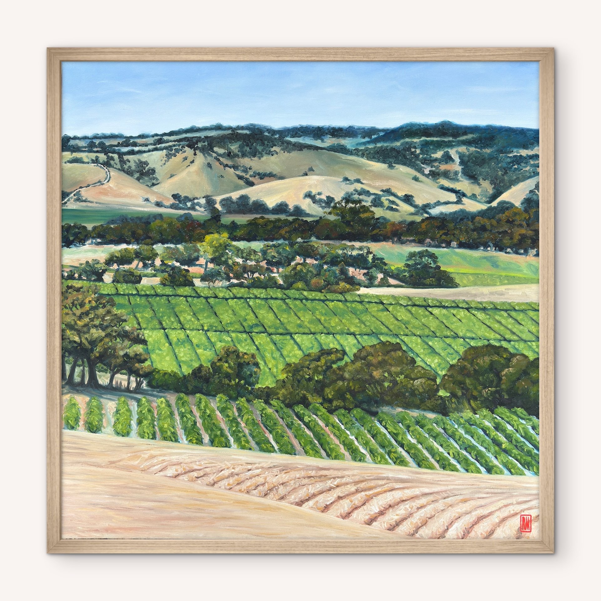 Valley View Canvas Print