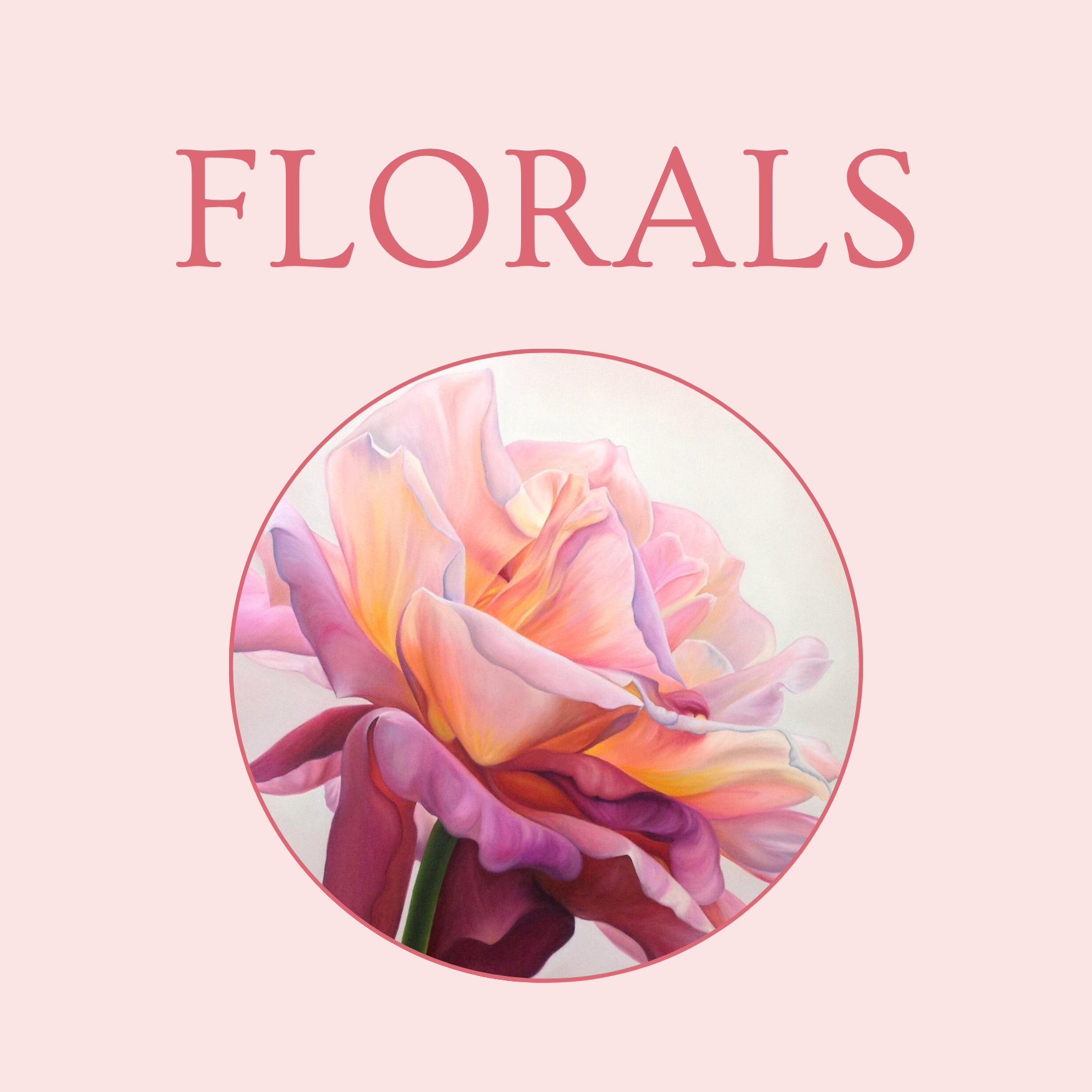 Florals text and image of pink rose on light pink background by ROBYN MARKEY