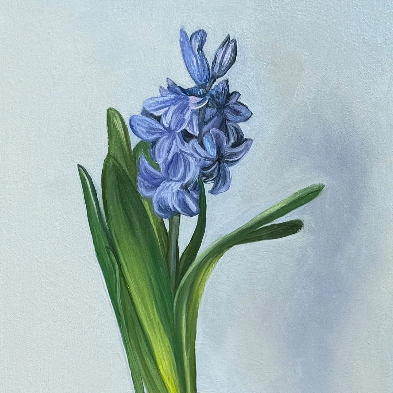blue hyacinth oil painting by Robyn Markey