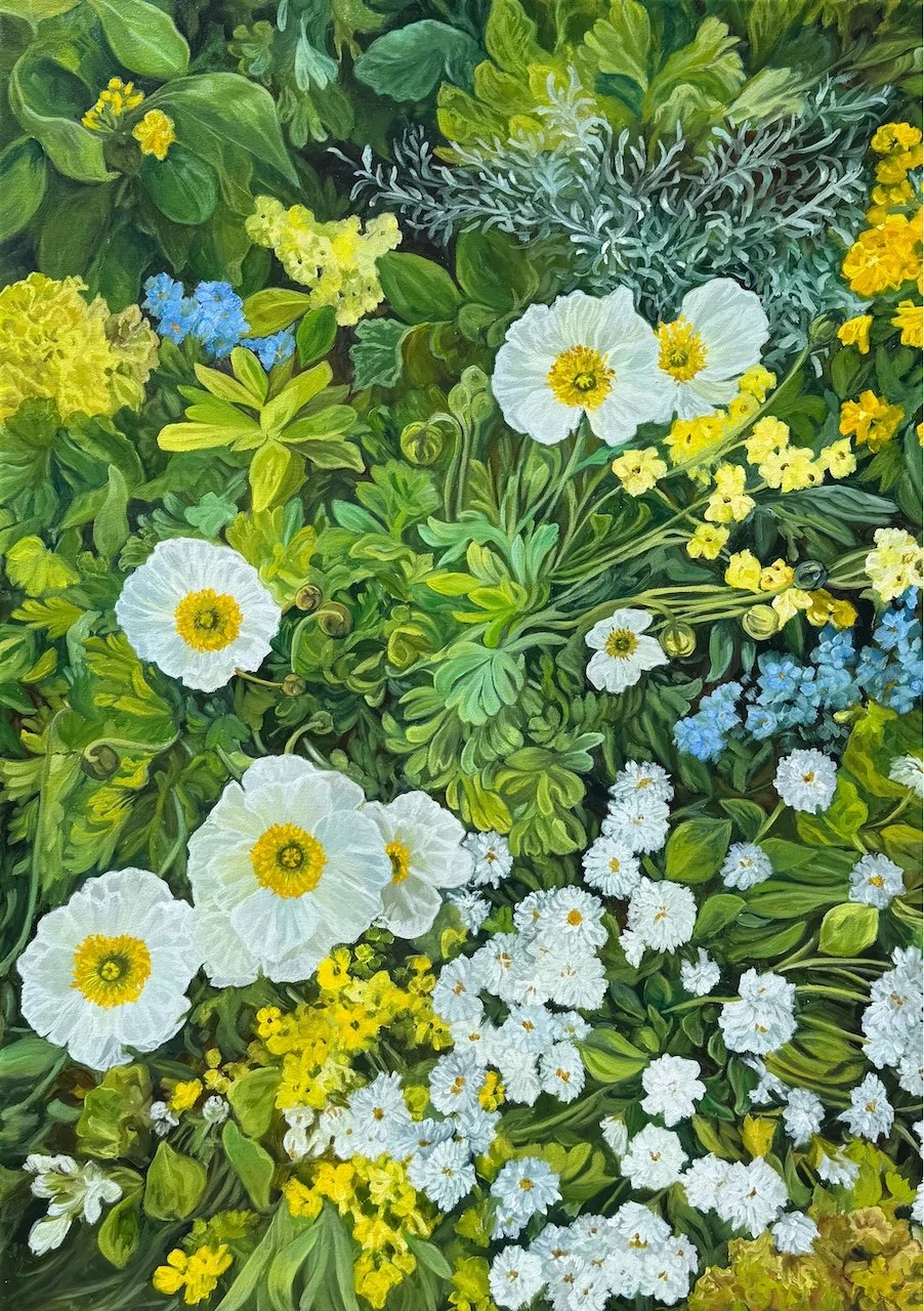 white, yellow and blue flowers