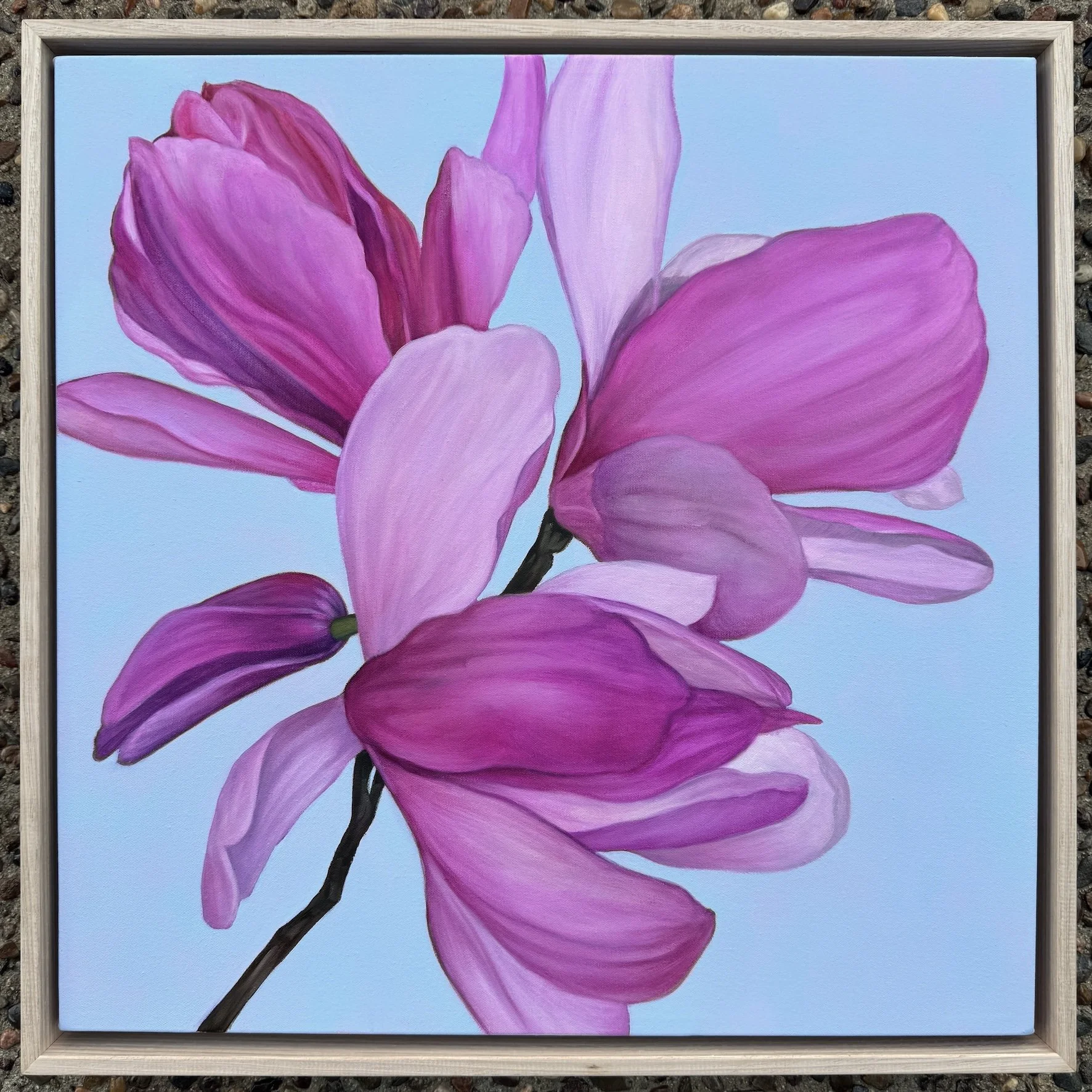 Fine art oil painting by Robyn Markey of New England pink peonies on blue background