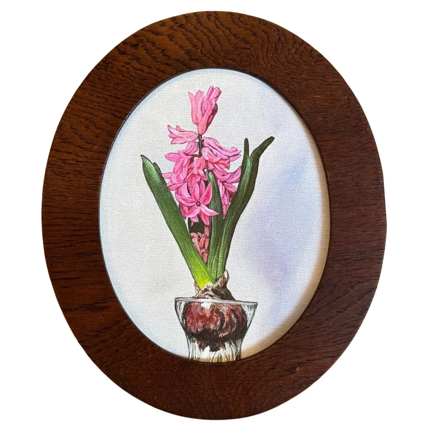 Pink Hyacinth Canvas Print in Antique Frame