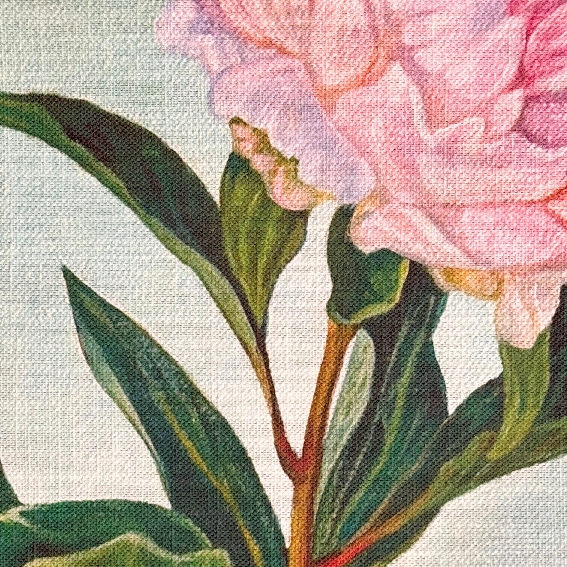 Bud Bloom 2.jpg
