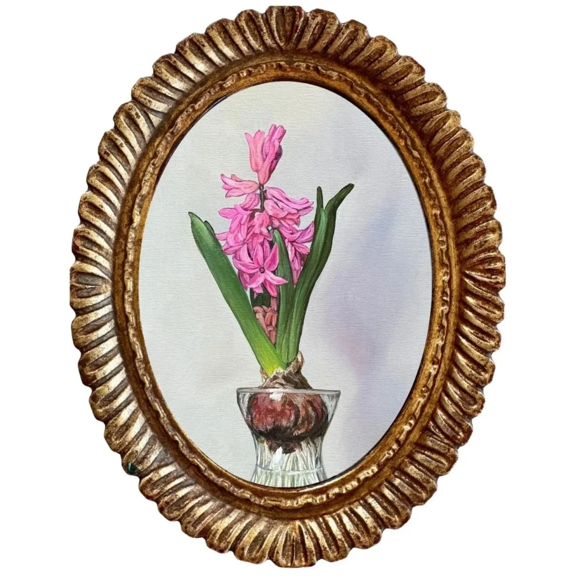 Pink Hyacinth Canvas Print in Vintage Frame