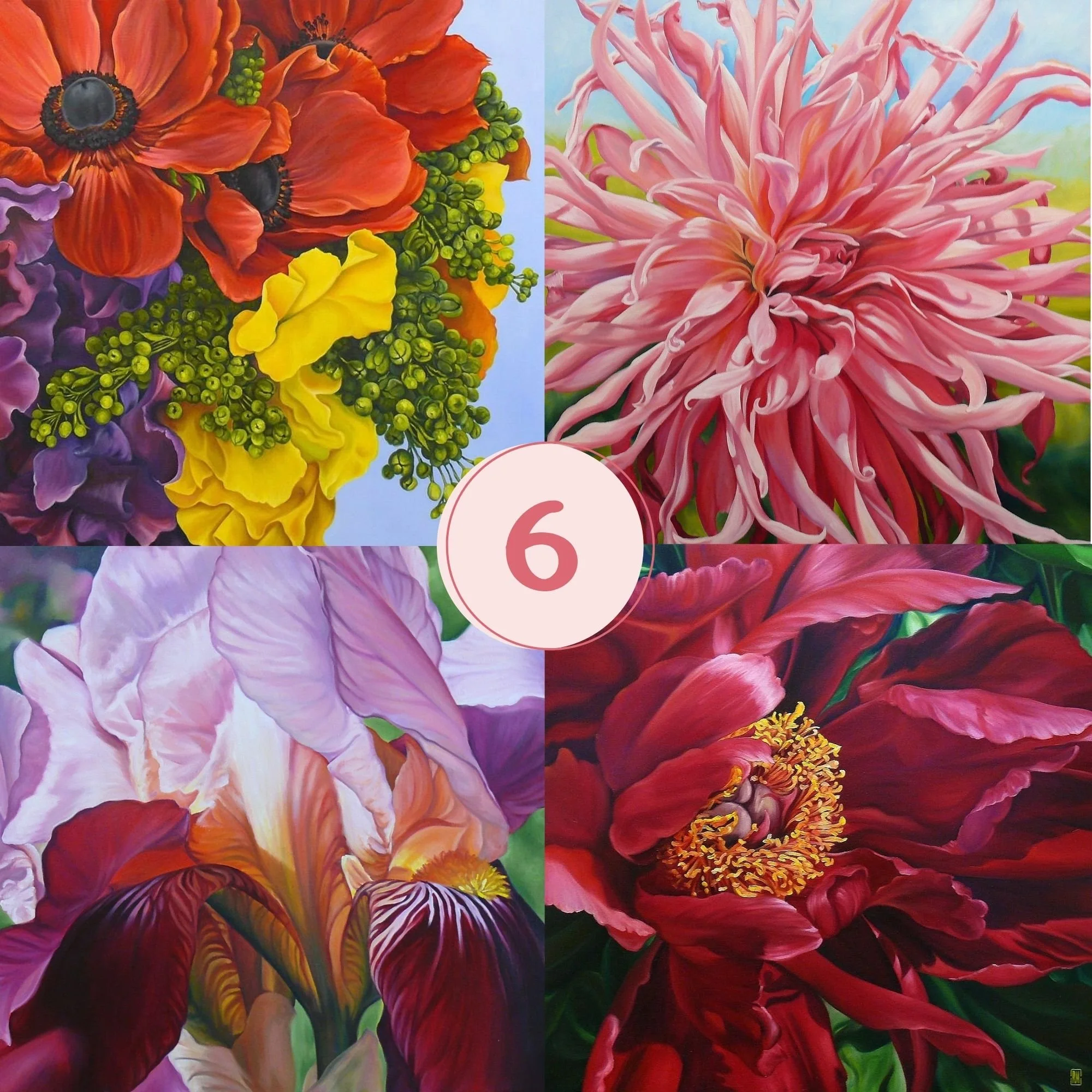 Greeting Cards - Pack 6, Vibrant Florals