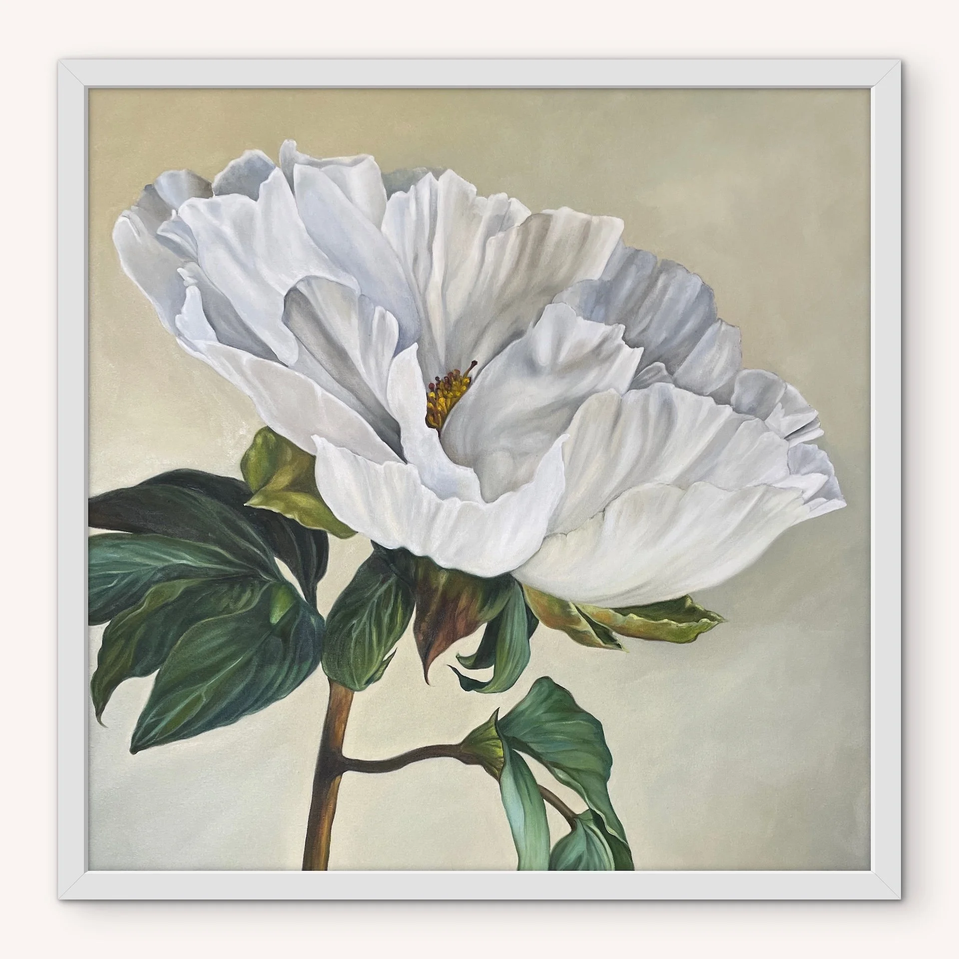 White_Peony_White.jpeg