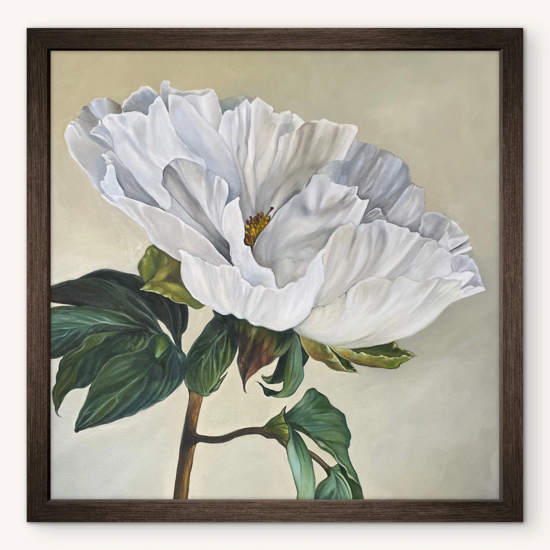 White Peony Framed Fine Art Print on Canvas