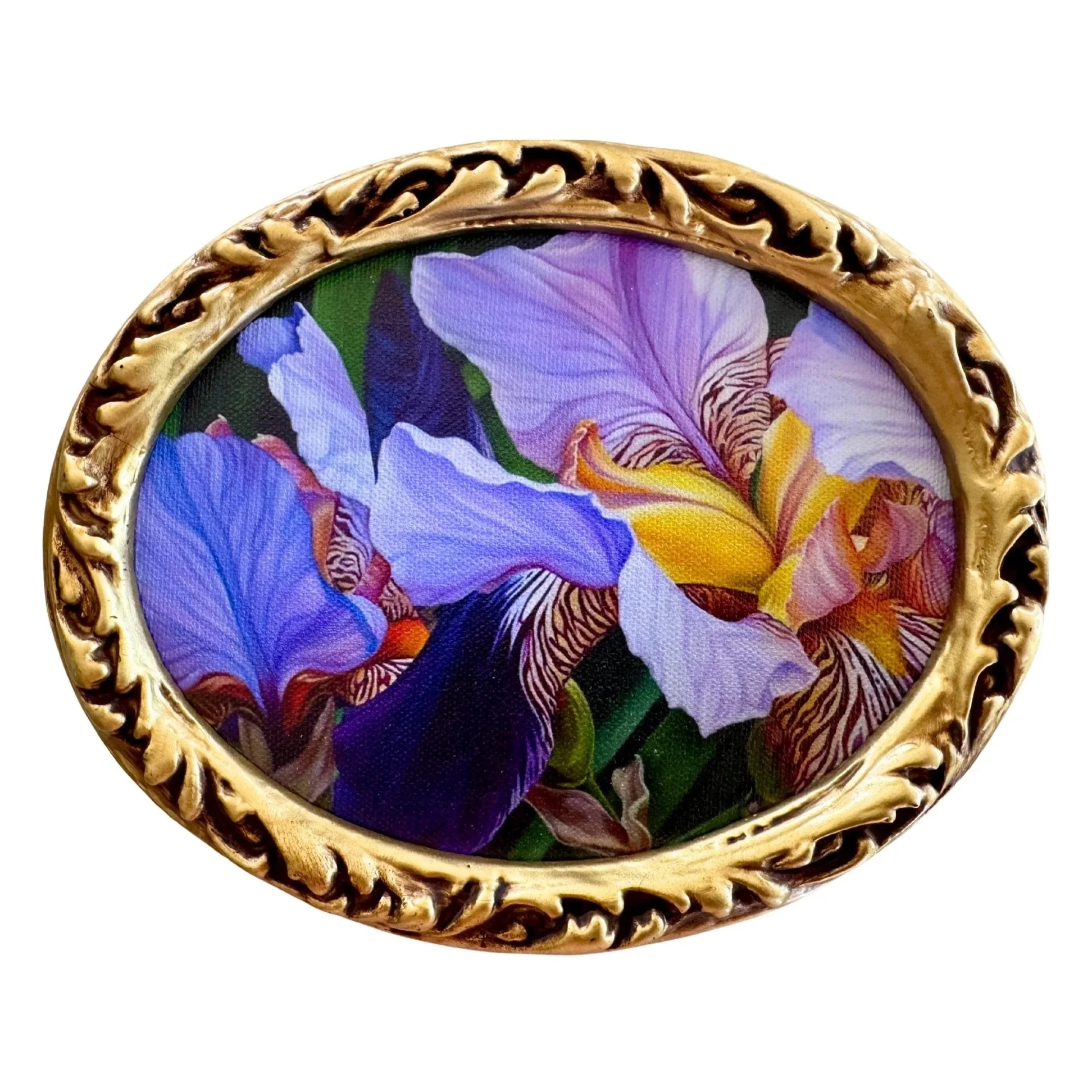 Irises From My Garden Canvas Print in Vintage Frame