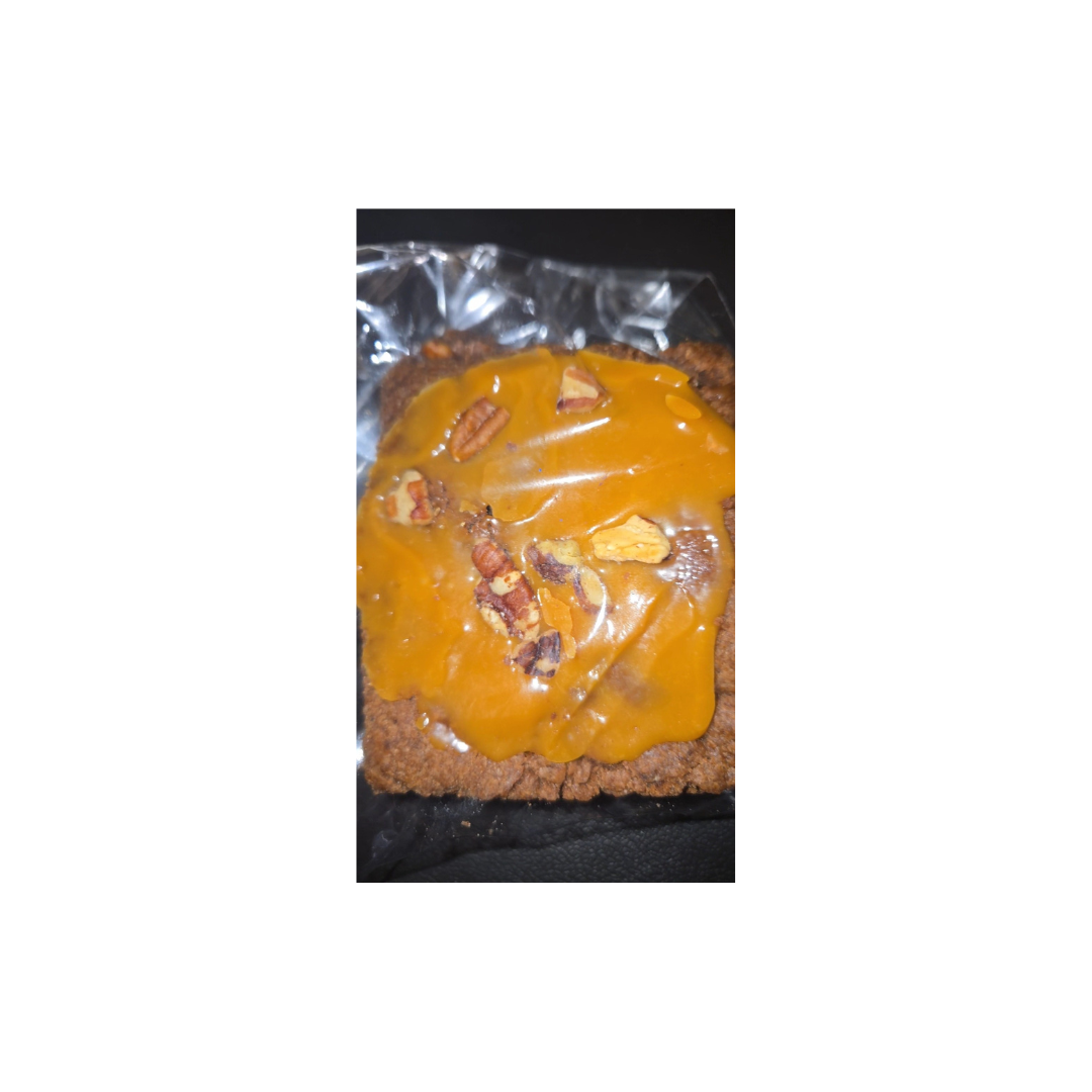 Turtle Brownie1.png