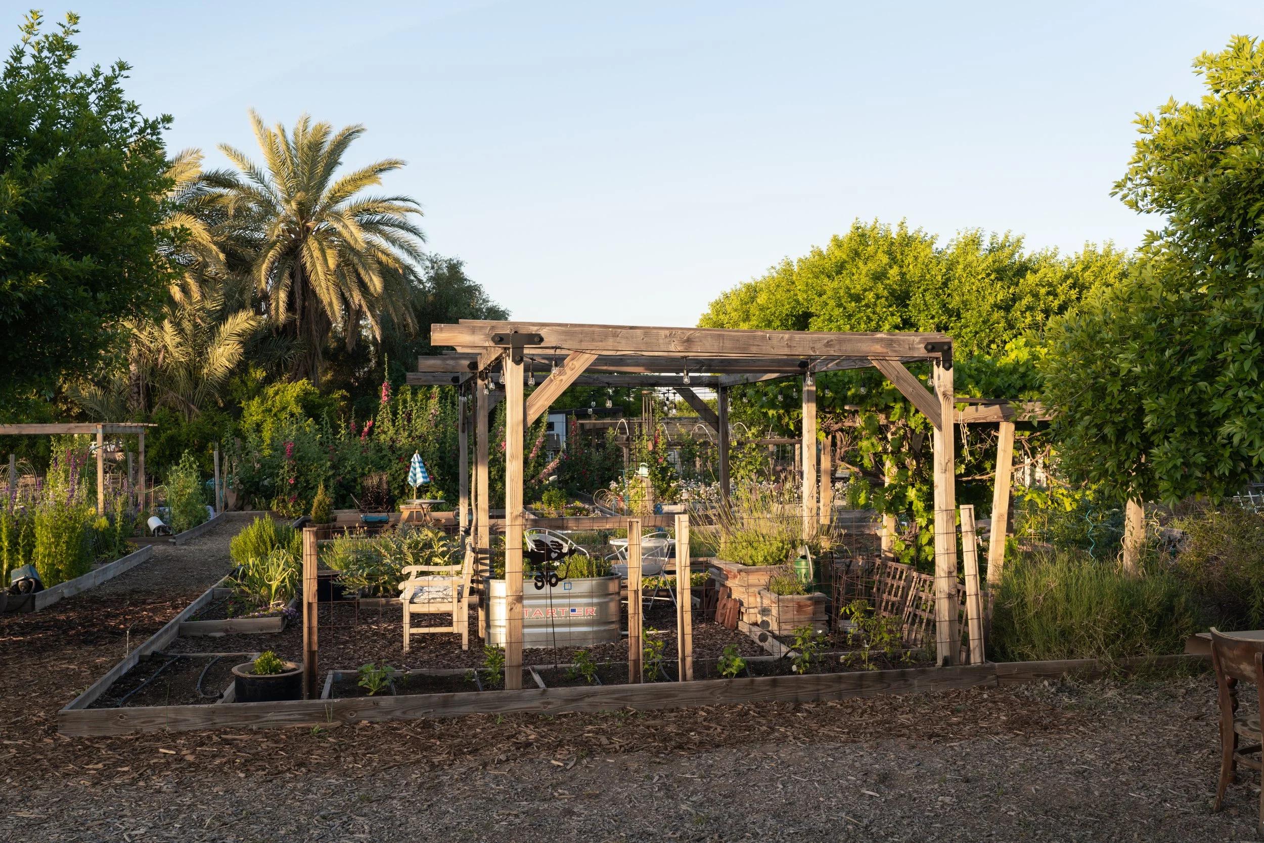 DSC05479-HDR.jpg
