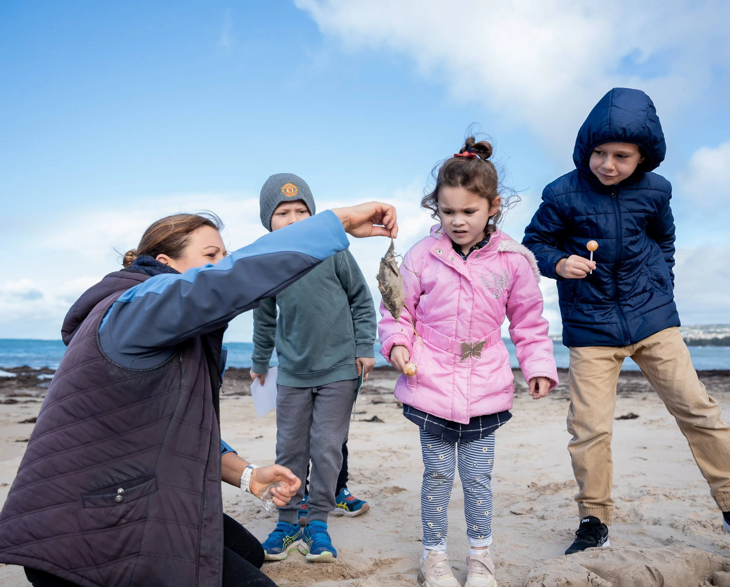 Beach Combing Activity
