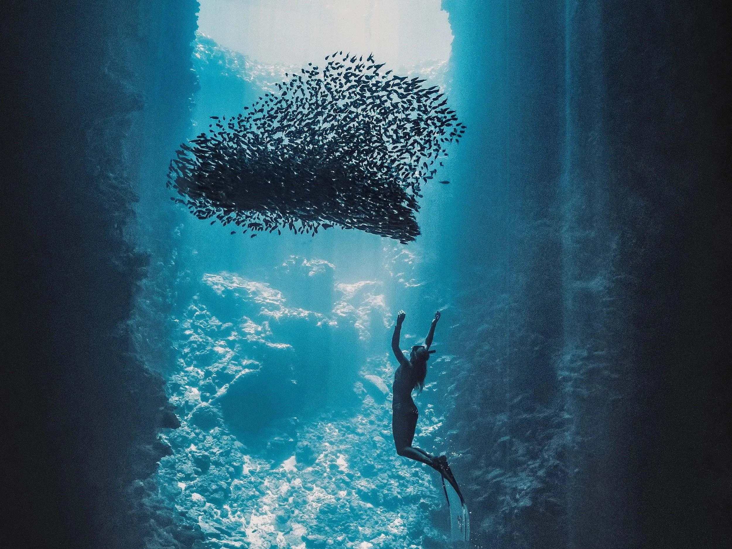 Water People Exhibition 