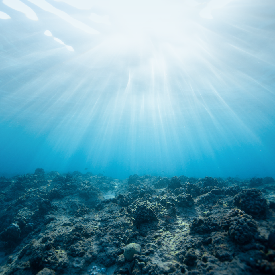 Rhythms of the Sea – Dance &amp; Meditation
