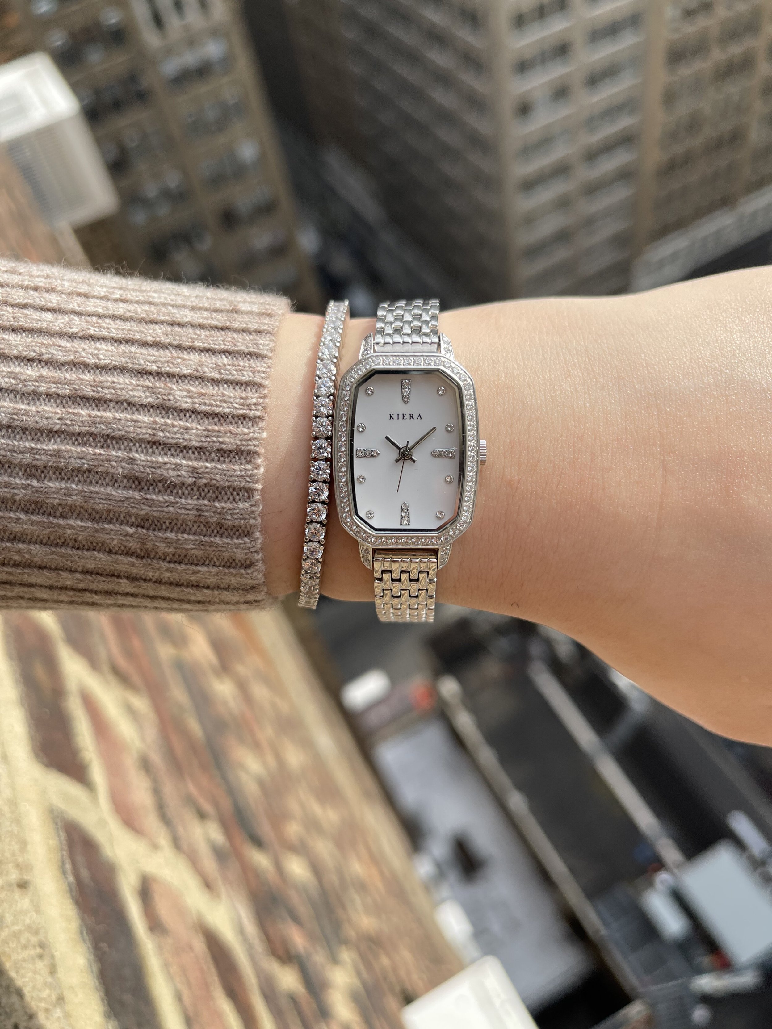 Elite watch collection