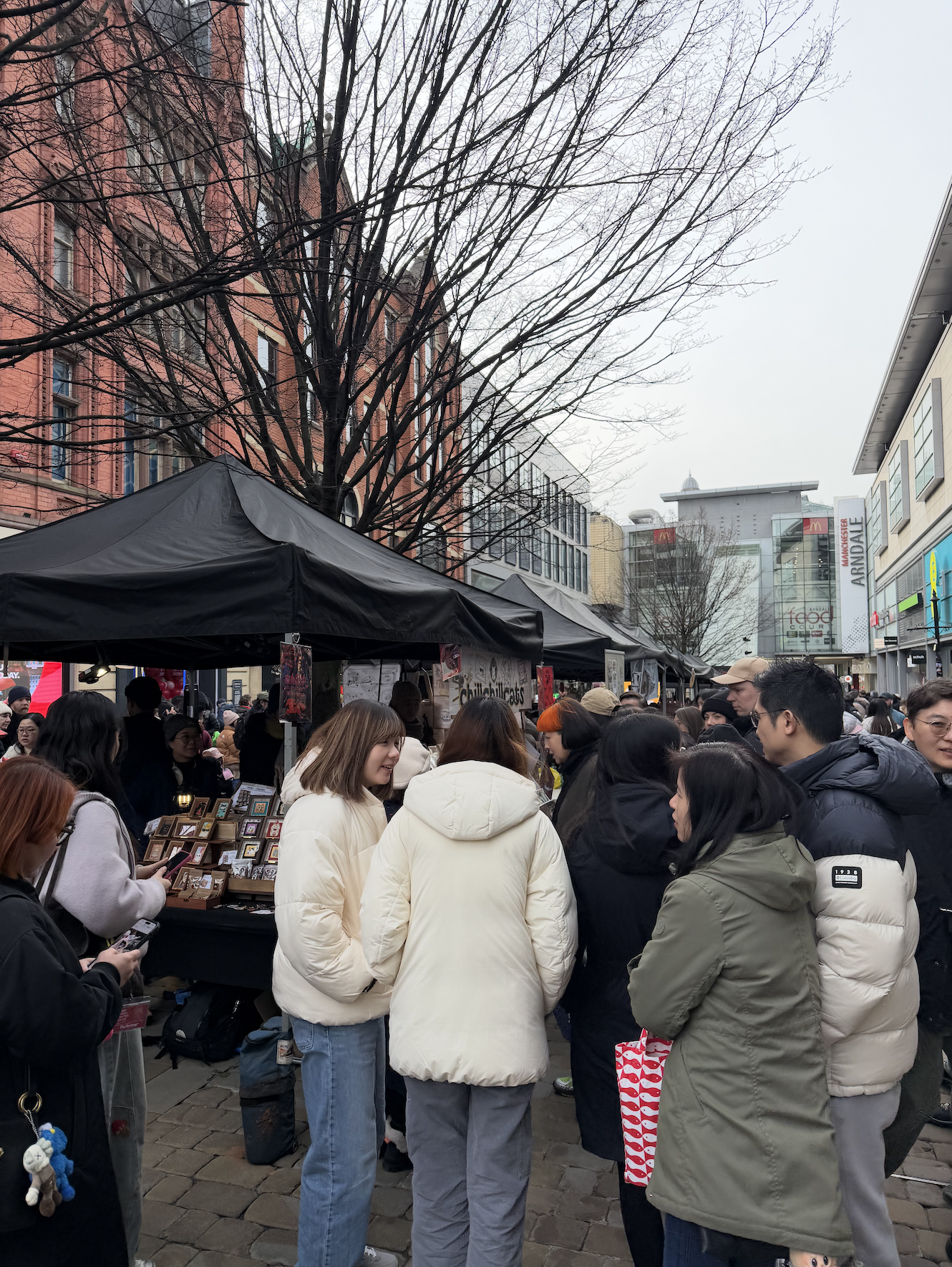 manchester lunar new year fair 07.png