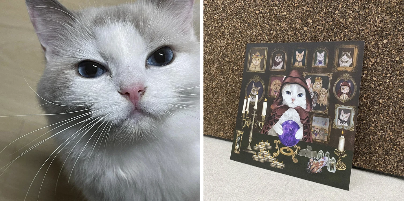 Screenshot 2026-01-13 at 13.02.05.png