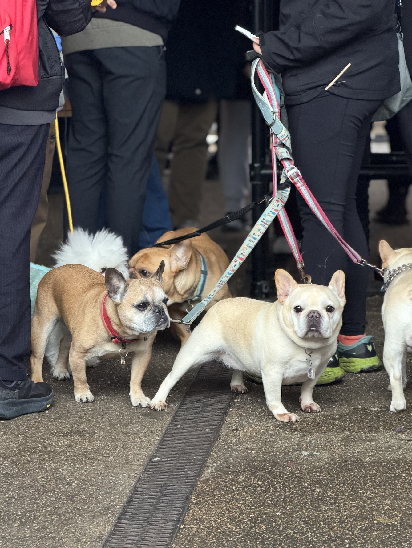 Screenshot 2026-03-03 at 16.00.09.png