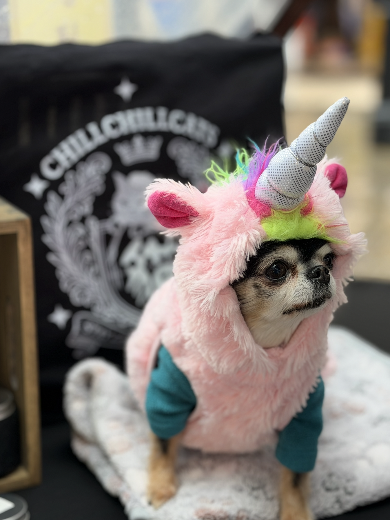 manchester lunar new year fair 17.png