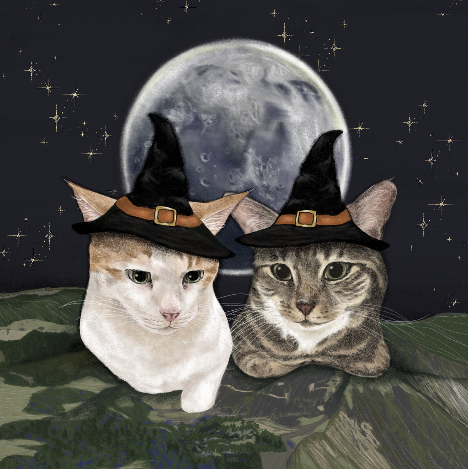 Screenshot 2026-01-20 at 22.01.48.png