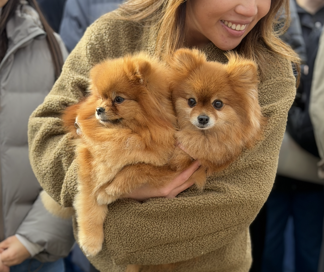 Screenshot 2026-03-03 at 16.00.27.png