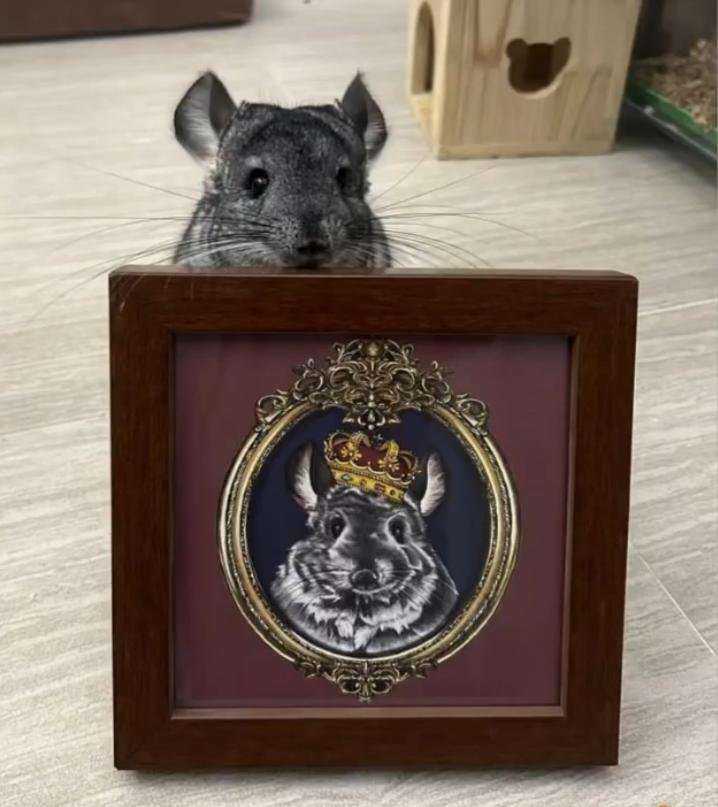pet and the portrait