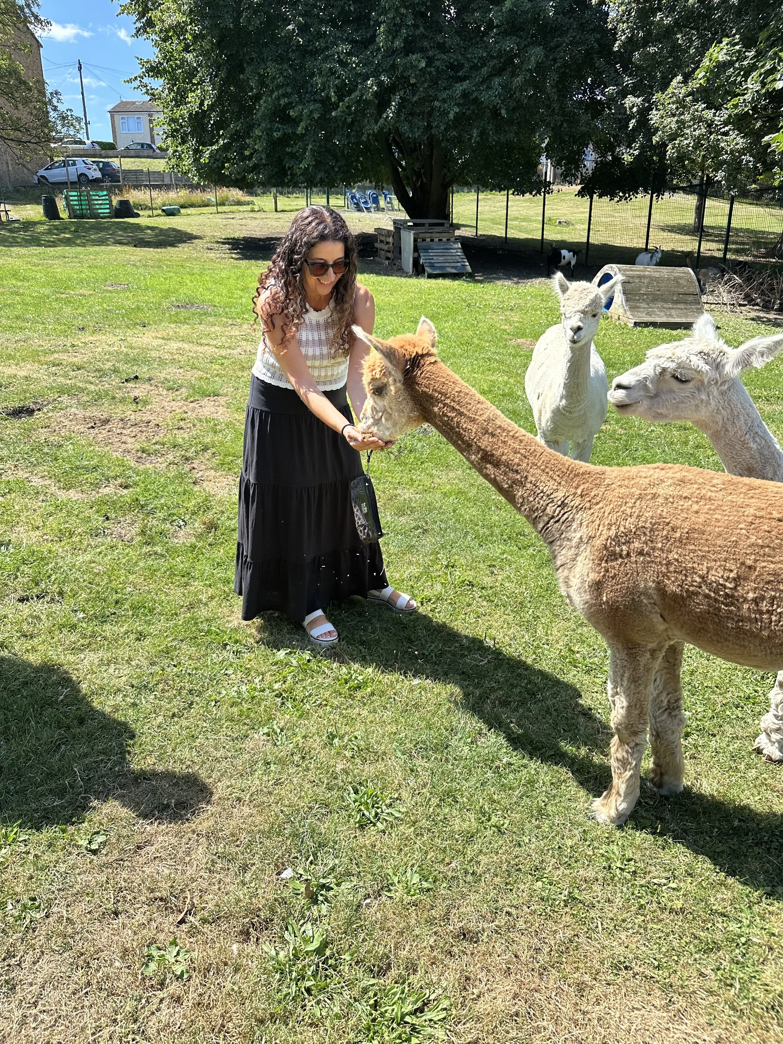 When Adults Change the Way they Think, Young People Begin to Experience the World Differently