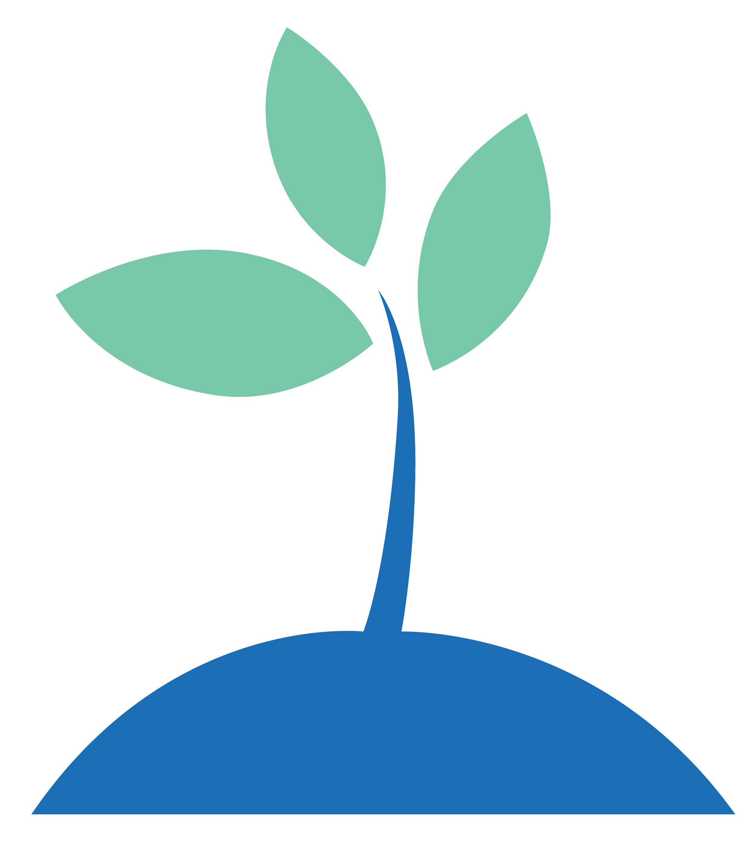 Mentorship Options growth level up.png