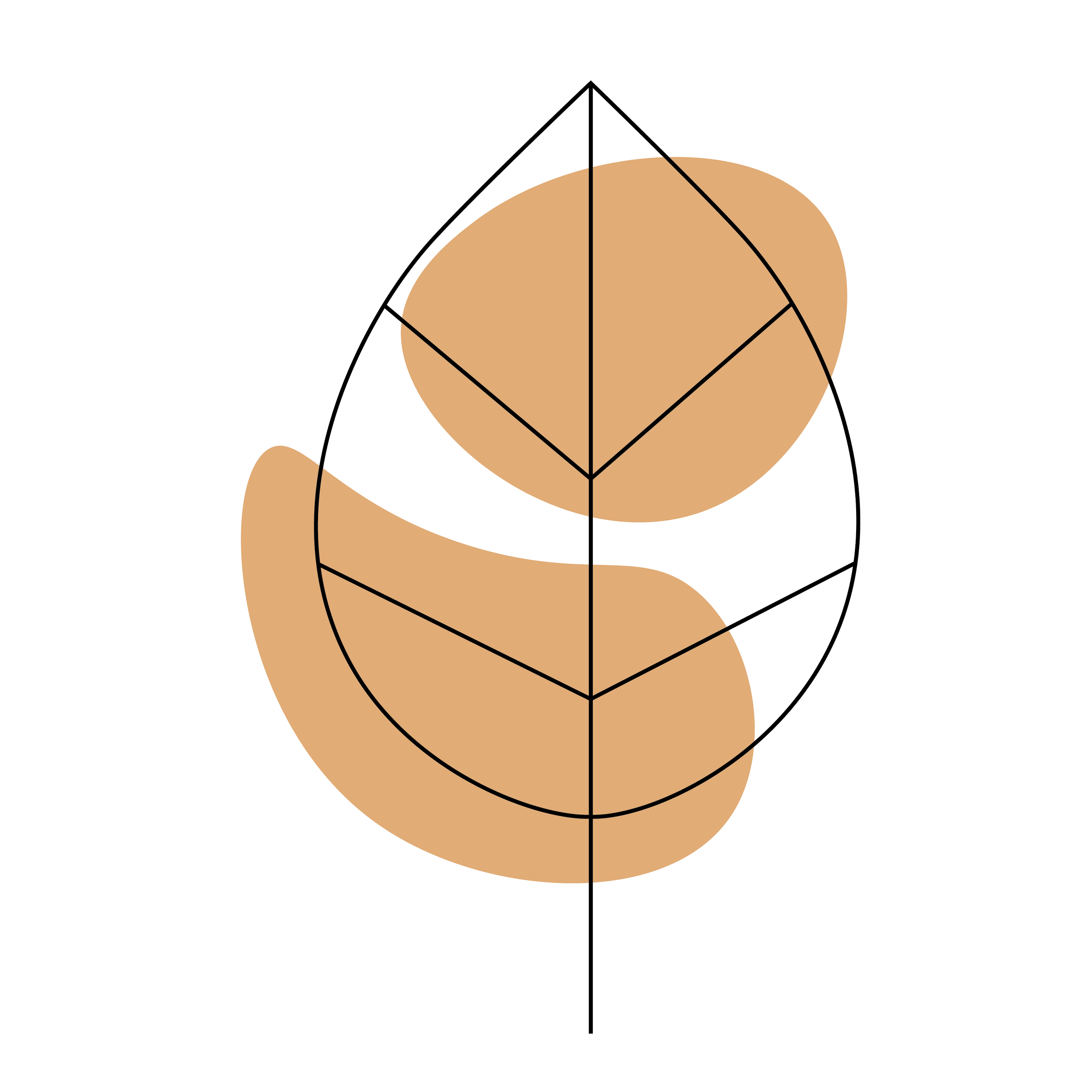 Fall 2026 Leadership Cohort - Leading Change Through Collective Action