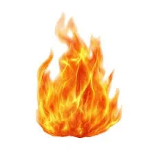 The Prophetic Fire: Why It Must Burn Away Your Reputation