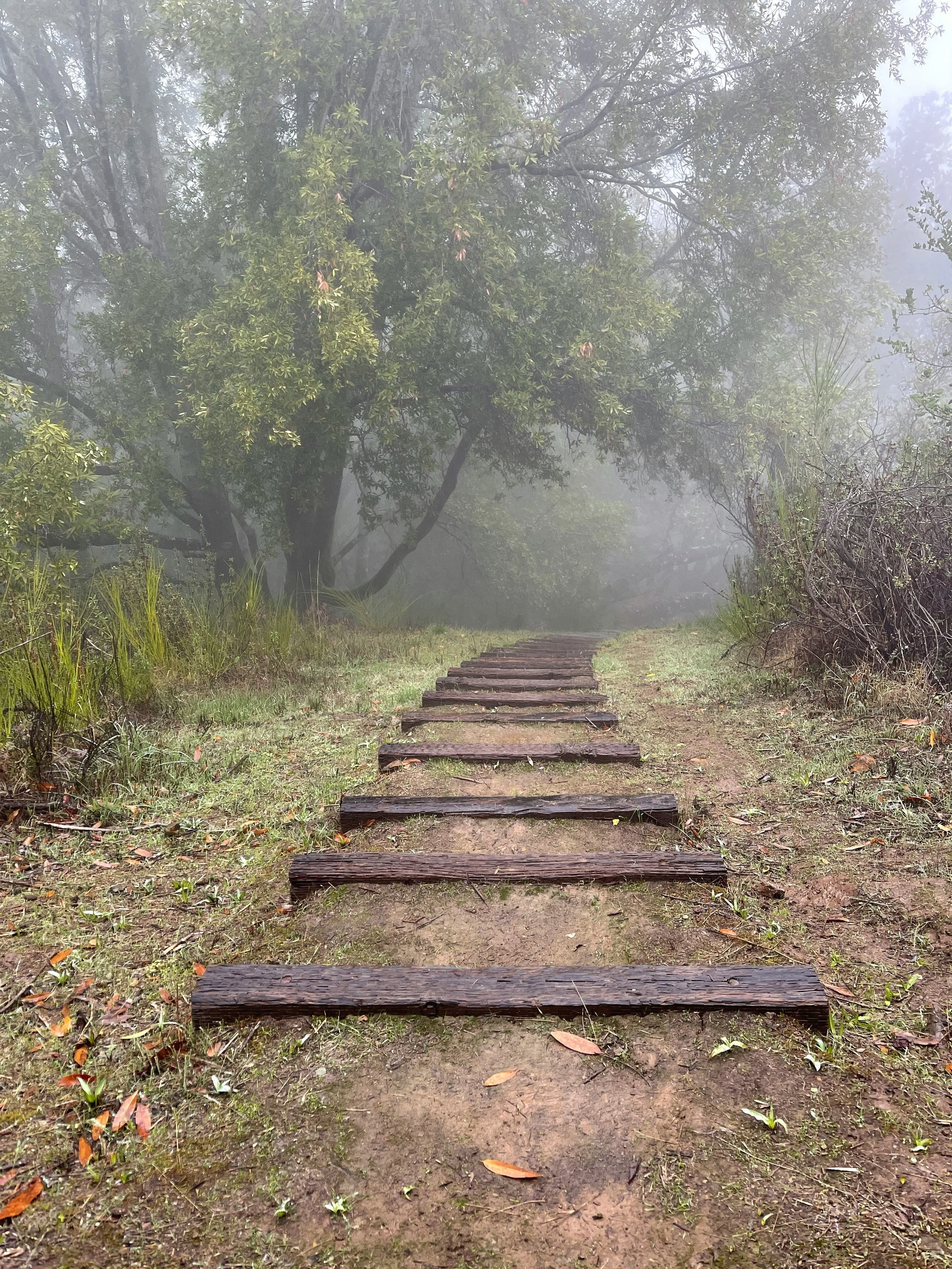 What does it look like to walk by the spirit? 