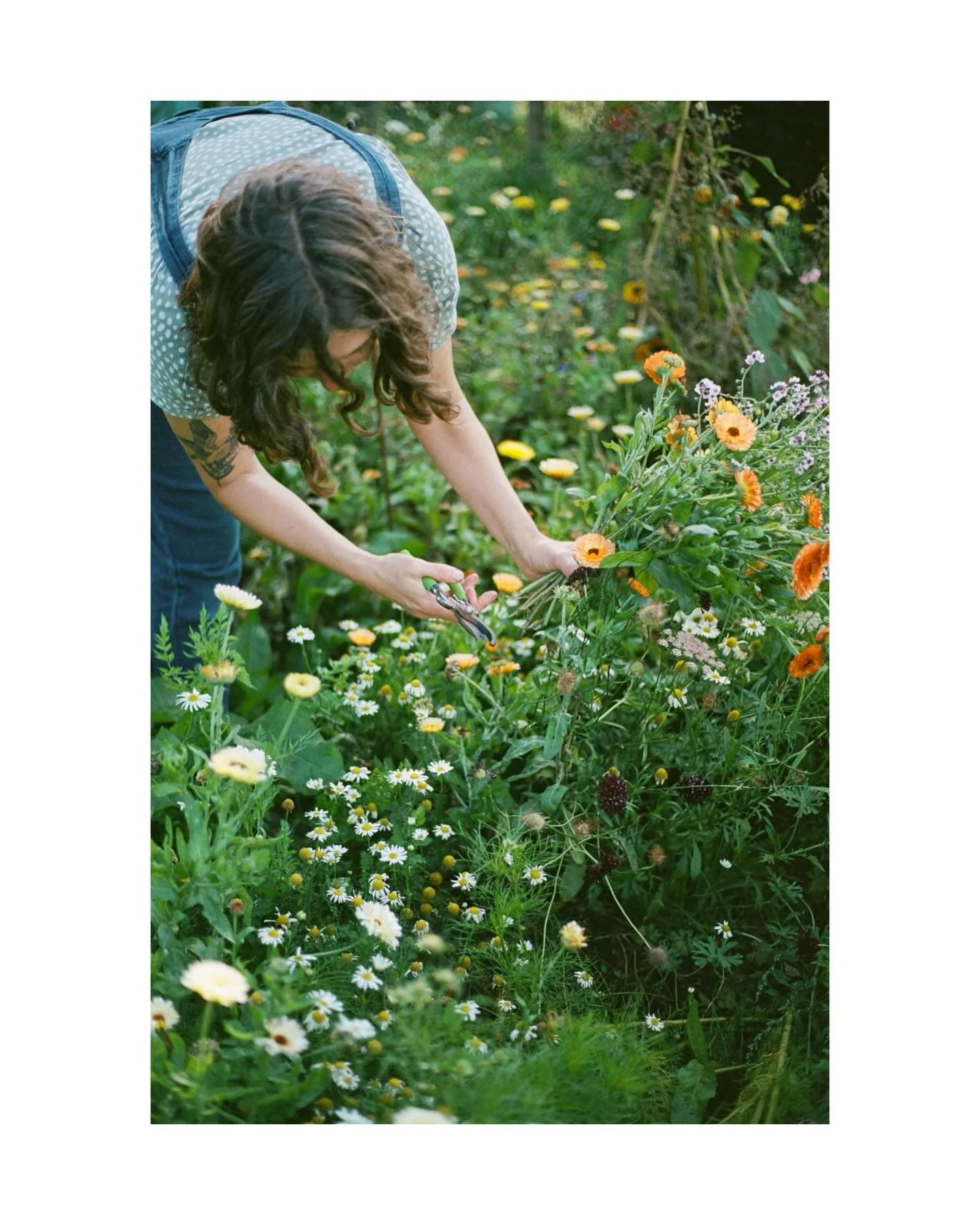 A little shoot that I did with the Petal &amp; Feast team on a beautiful autumnal day. A reminder of how much care, creativity, and love goes on behind the scenes to bring a wedding day to life 🌸