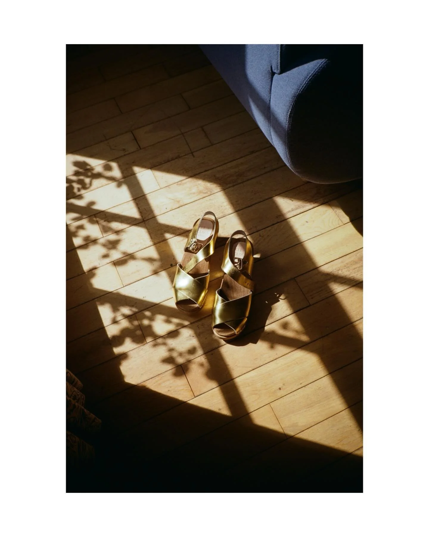 Happy Valentine&rsquo;s Day lovers 💫

A few 35mm film shots from S &amp; T&rsquo;s wedding ❤️&zwj;🔥

Venue @little_gate_farm 
Florist @thenagundotree