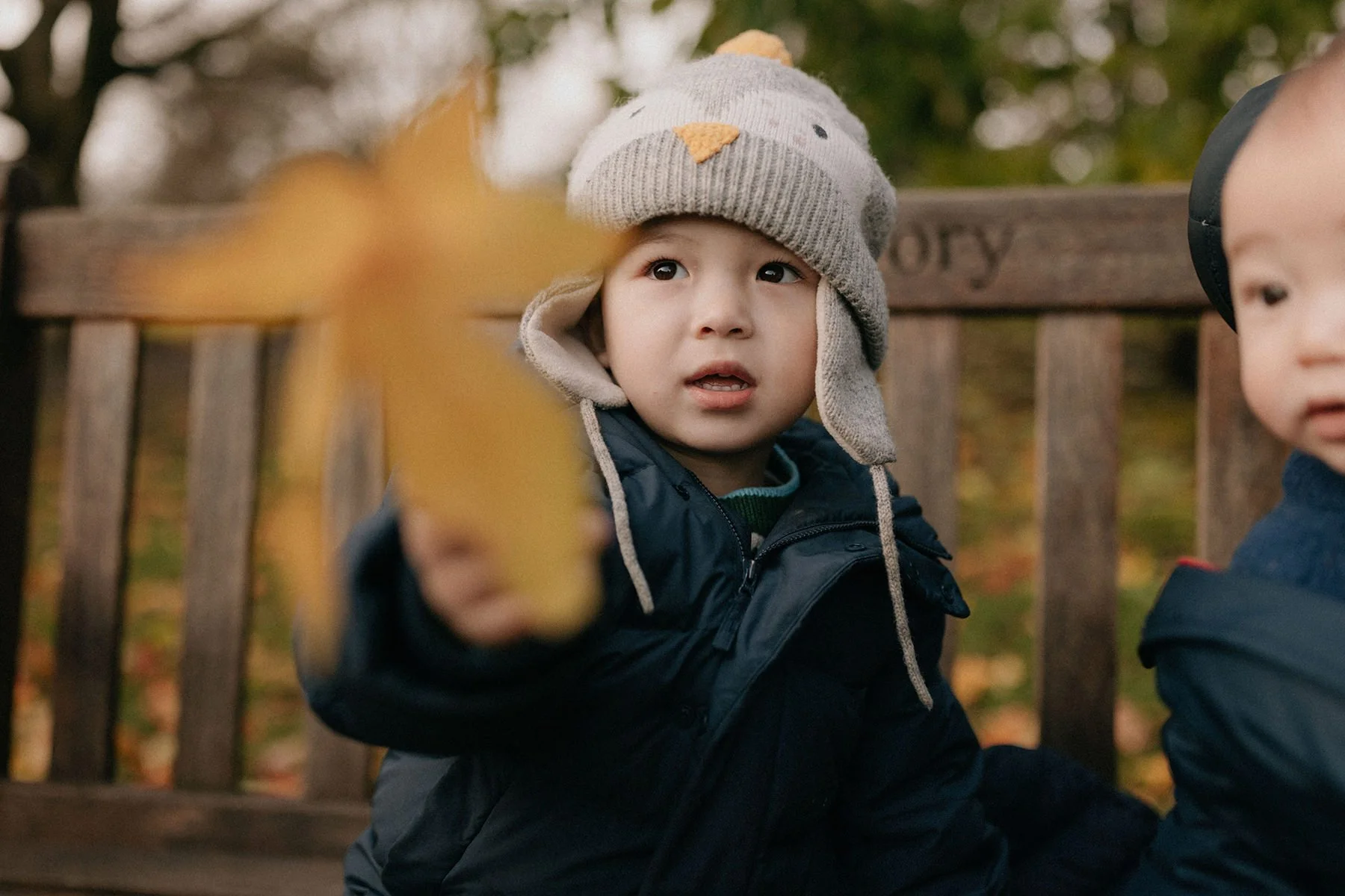London family photographer