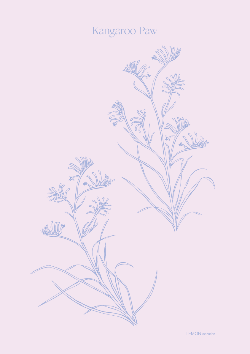 Slow - Kangaroo Paw
