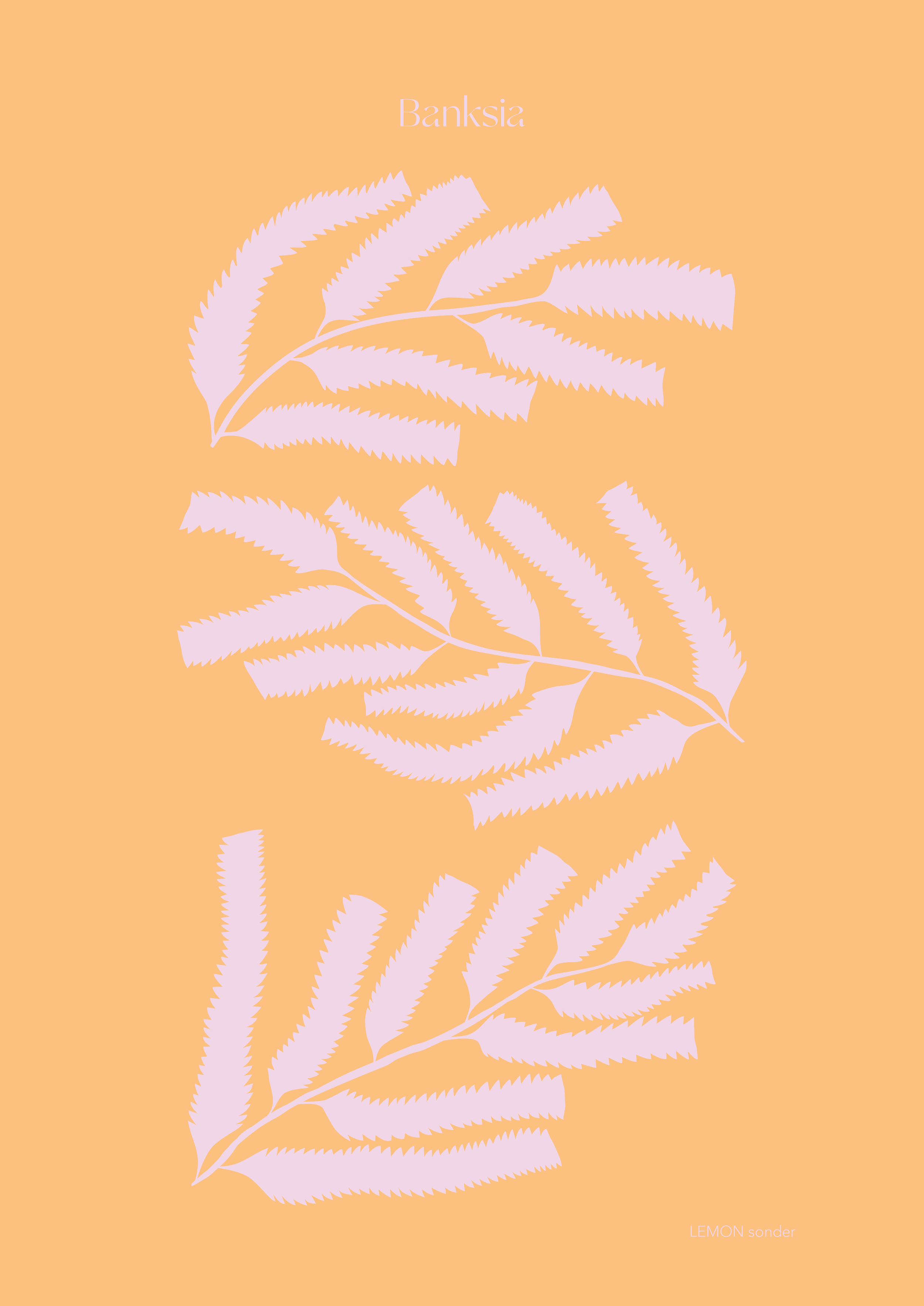 Slow - Banksia