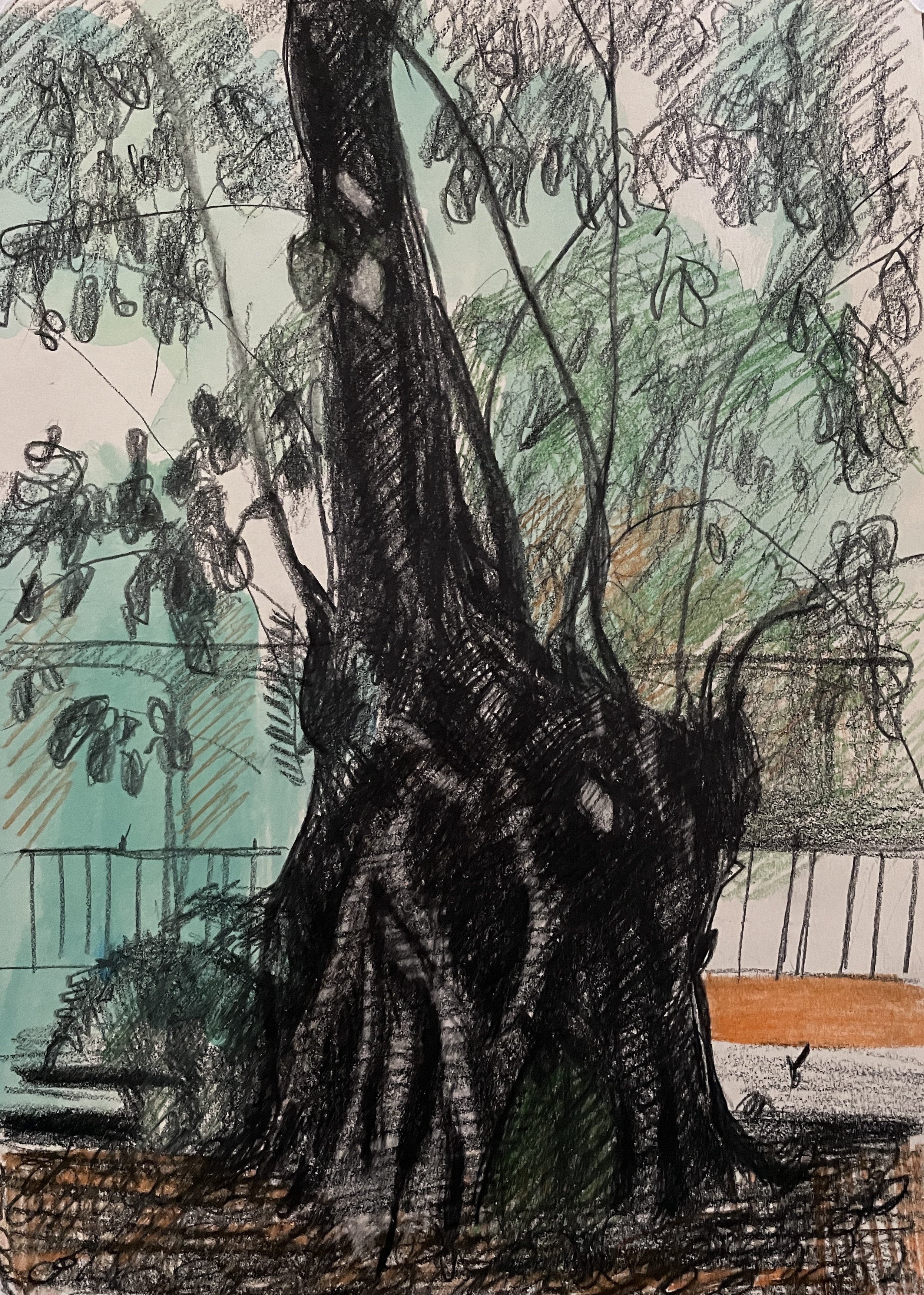 "Old tree", 2025, gouache and pencil, framed, image 29x20, with frame 34x27cm, SGD 250