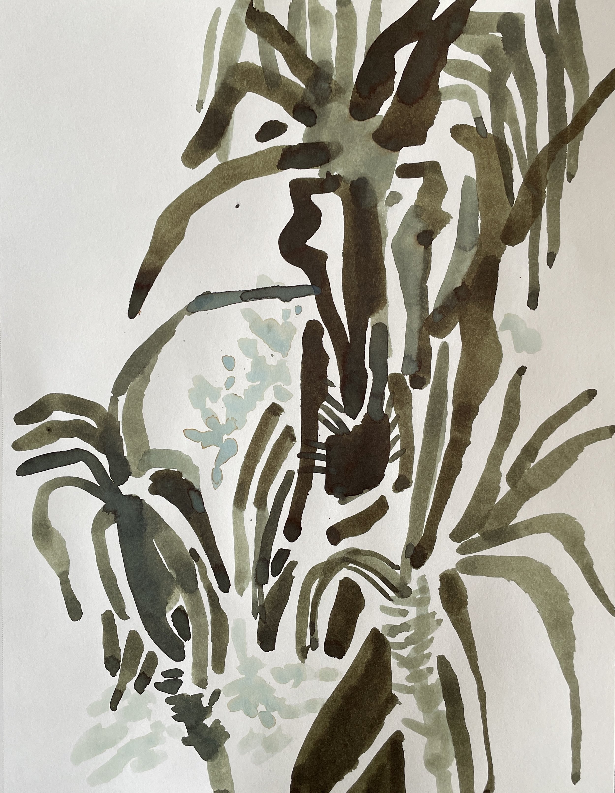 Botanic Gardens IV, 2026, ink on Strathmore paper, 160 gsm, 30.5x22.9 cm, framed in white acid free paper mat, 14x11", SGD 65