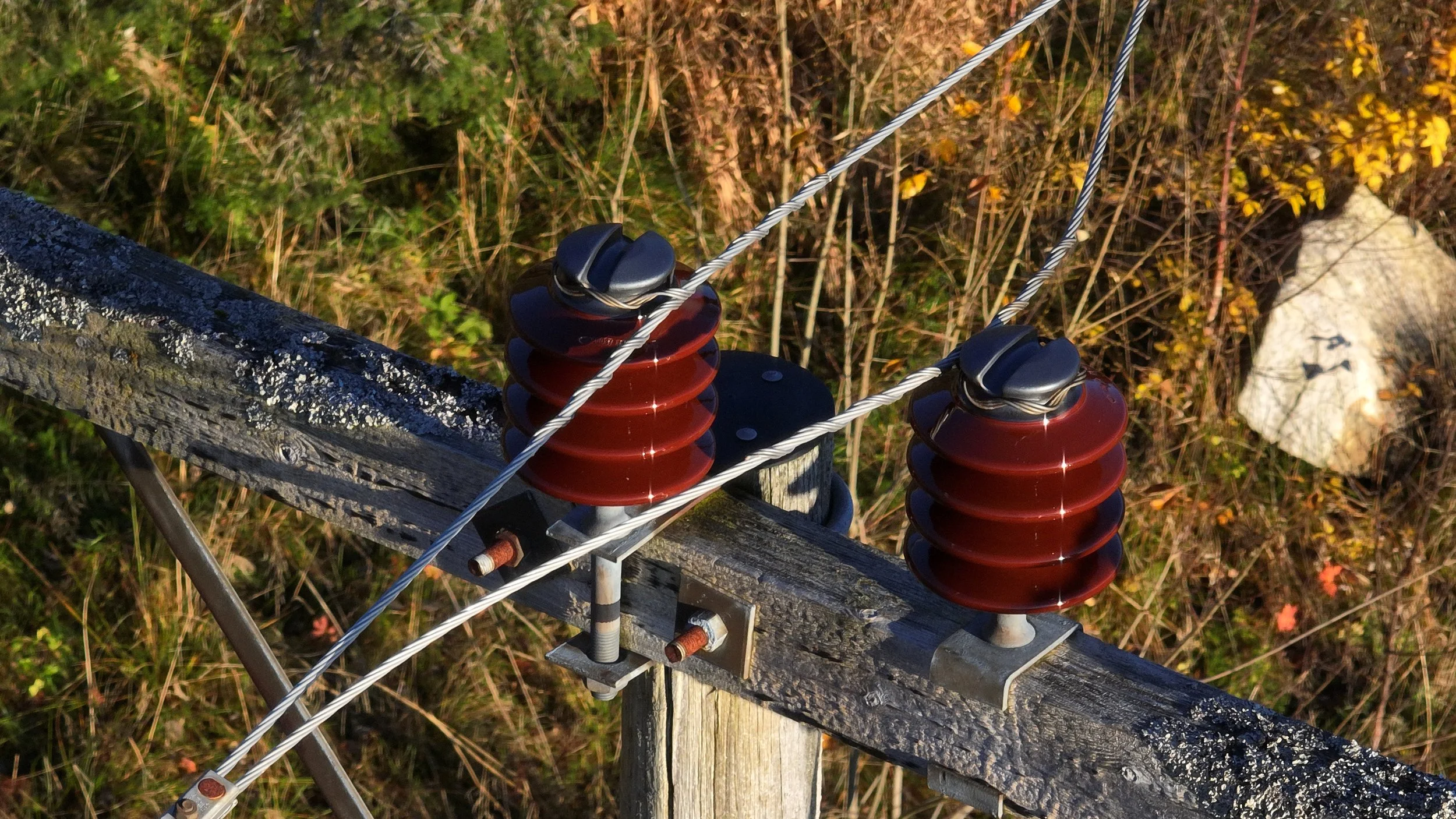 Inspeksjon 2 tele.JPG