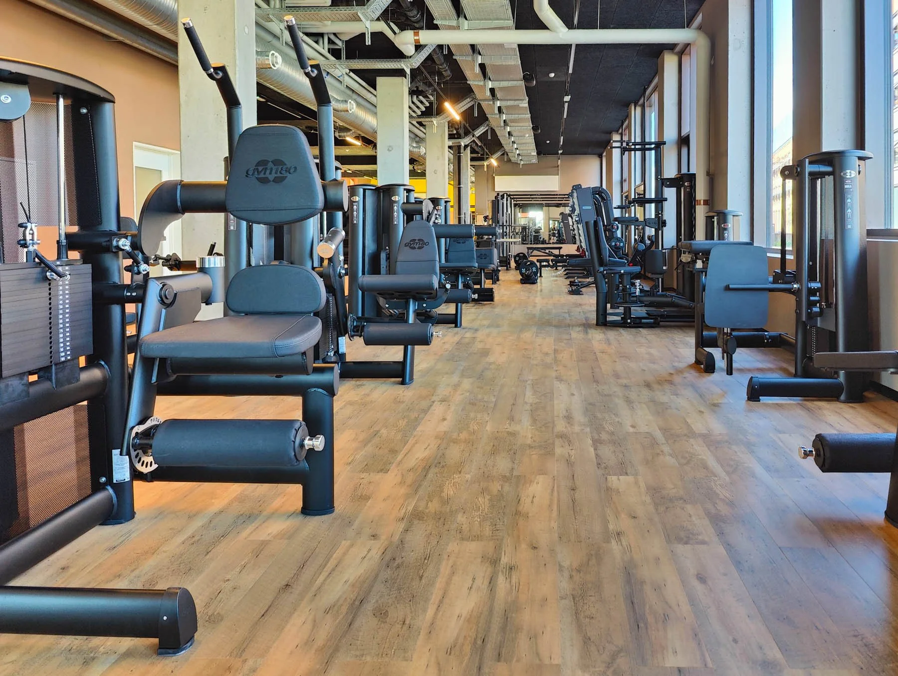 IMG20250831130127 (1).jpg