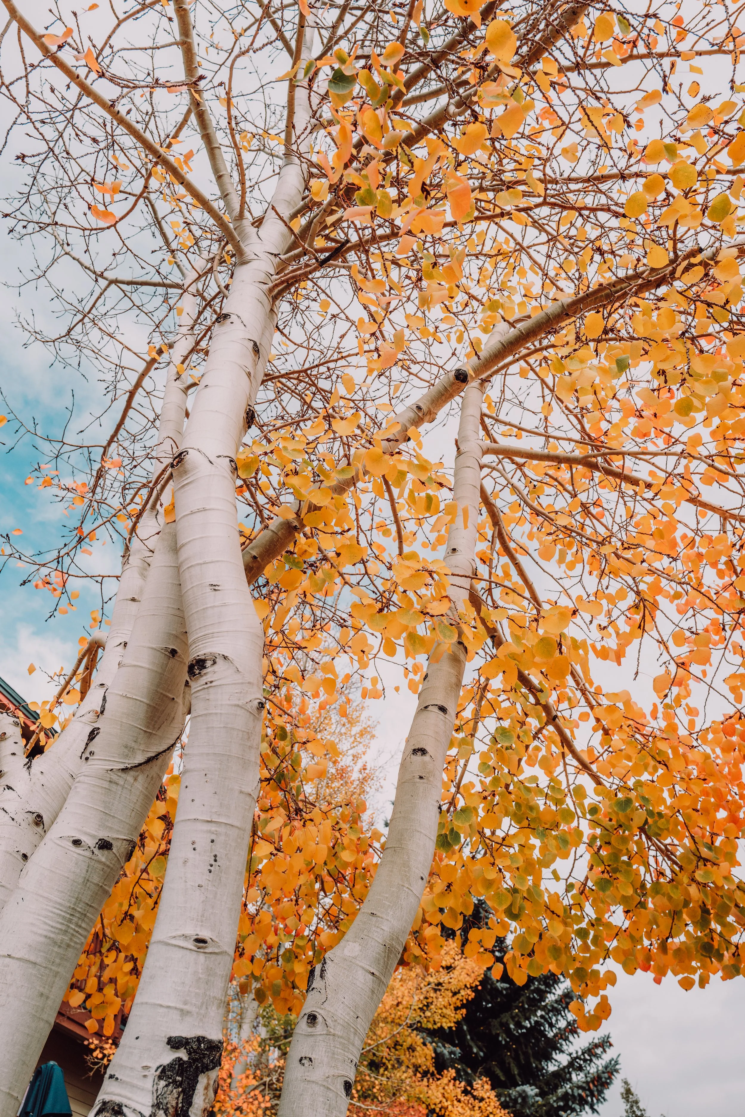 Breckenridge-12.jpg