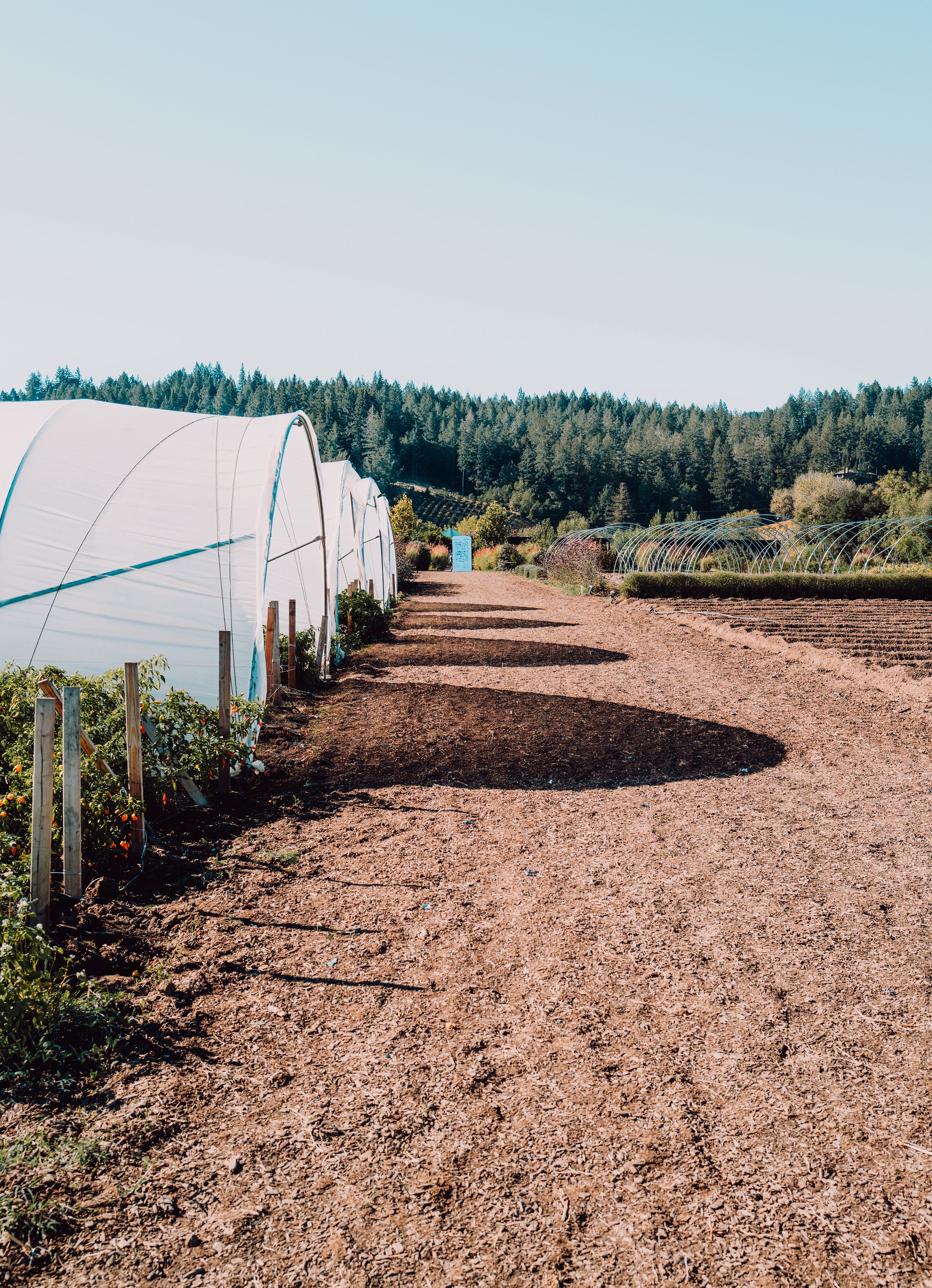Healdsburg+Singlethread-32.jpg