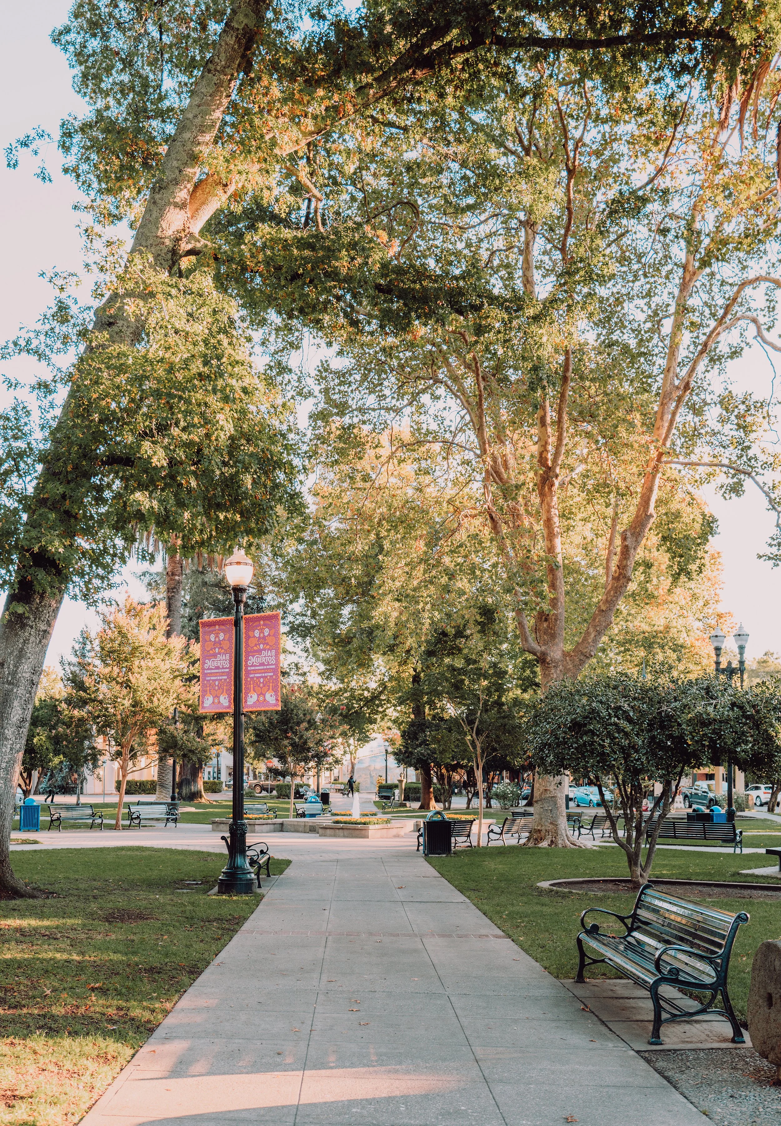 Healdsburg+Singlethread-03.jpg