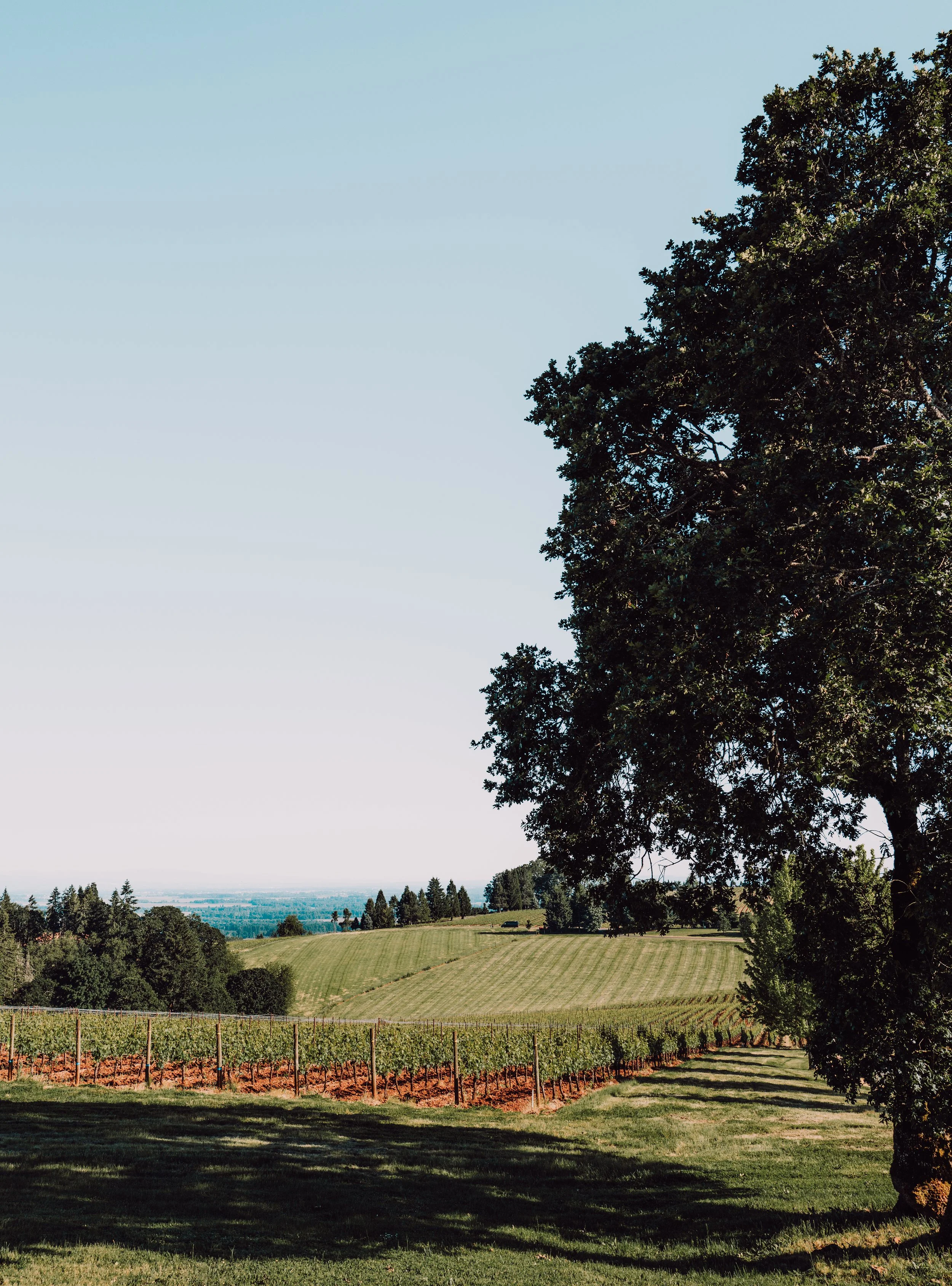 Portland-44.jpg