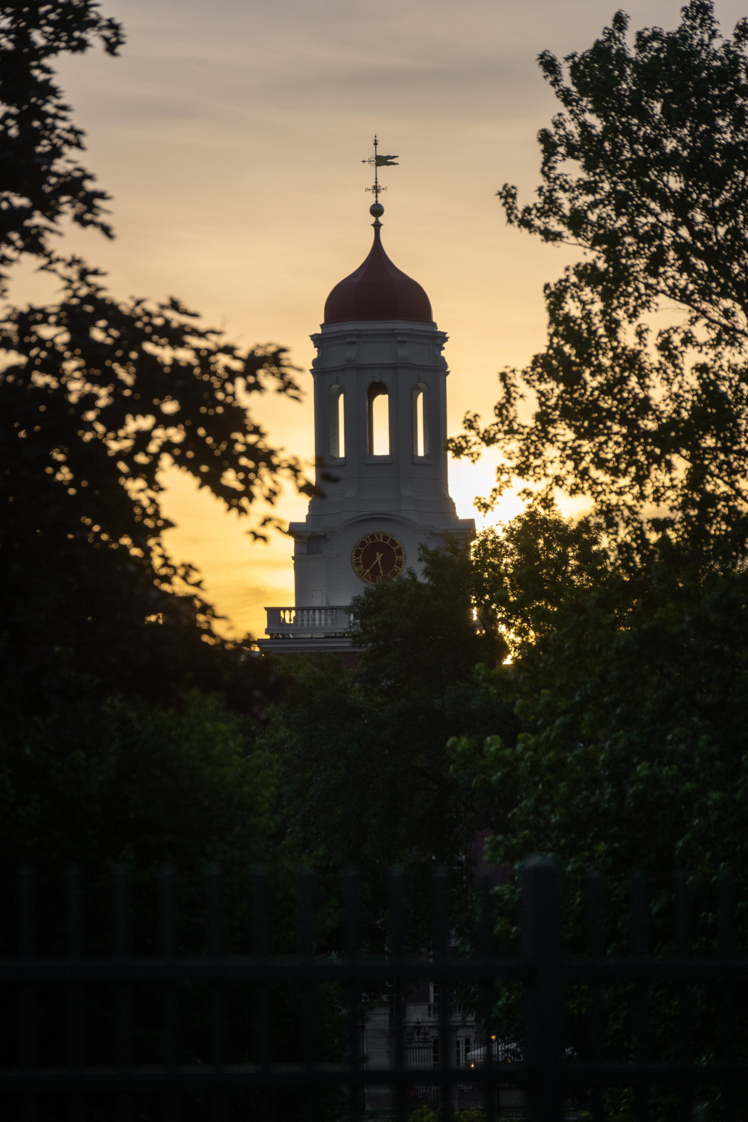 GLS_8179.jpg